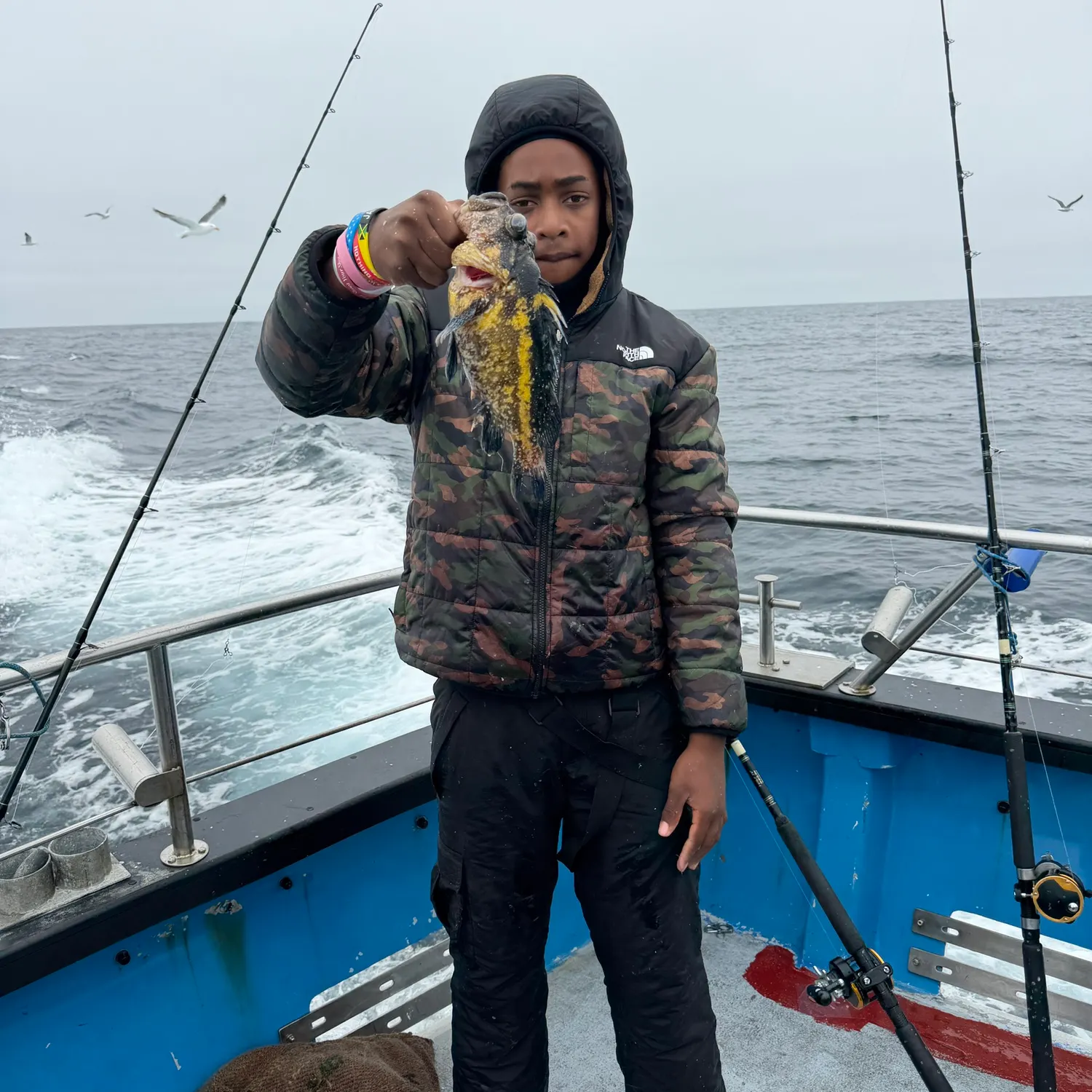The most recent China rockfish catches on Fishbrain