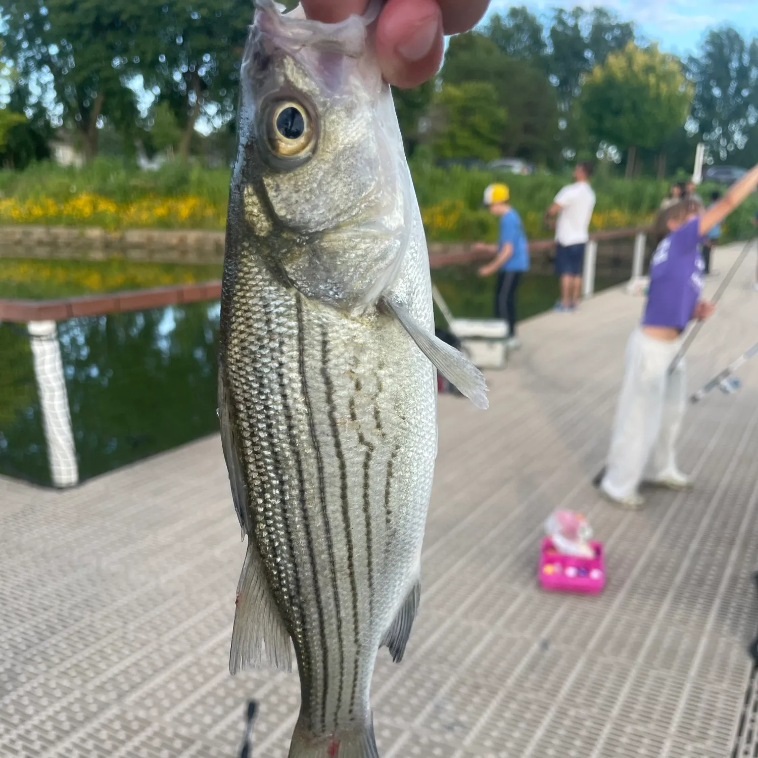 catch