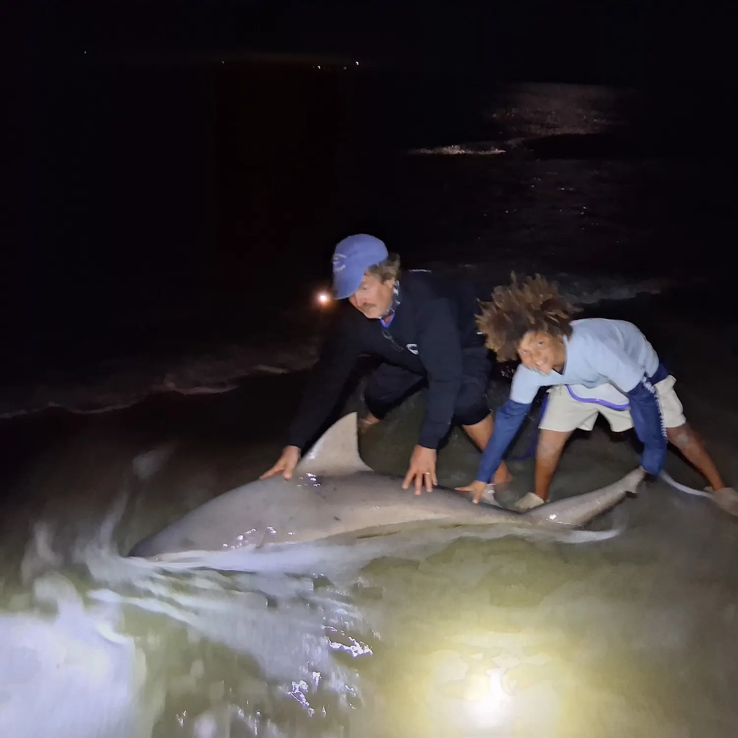 Bull shark caught on Fishbrain