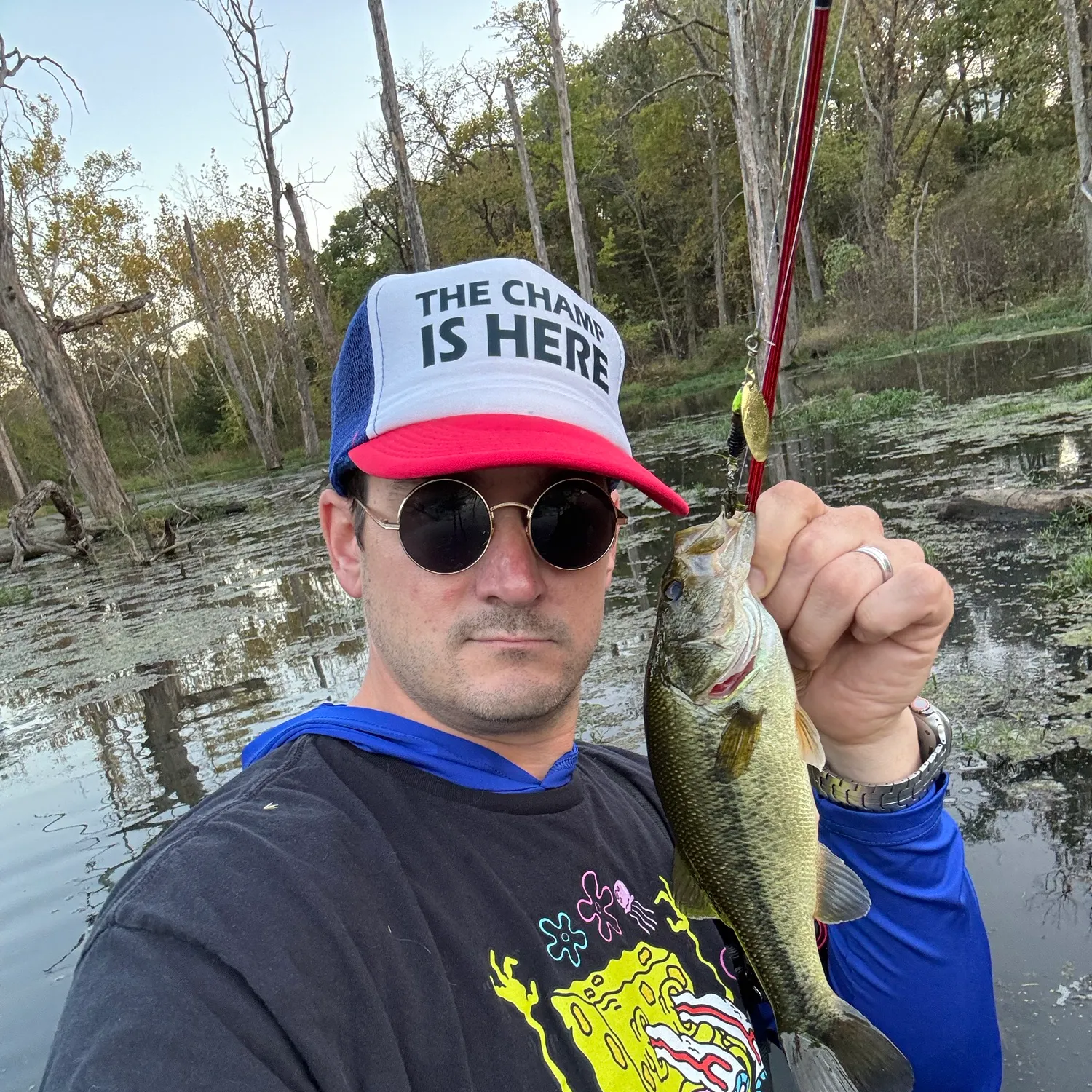 Largemouth bass caught on Fishbrain