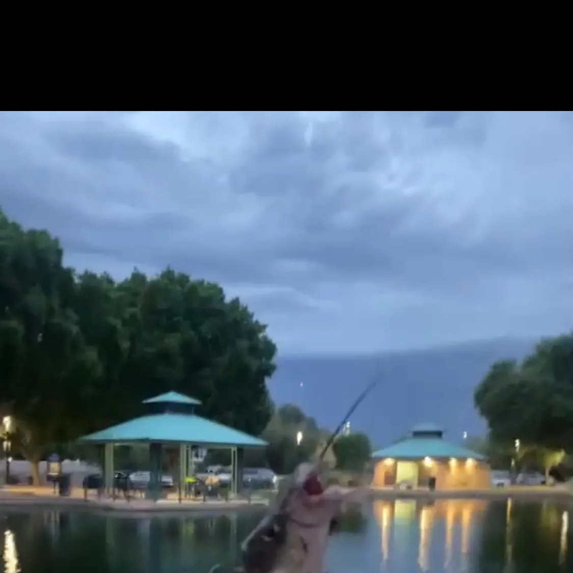 Channel catfish caught on Fishbrain