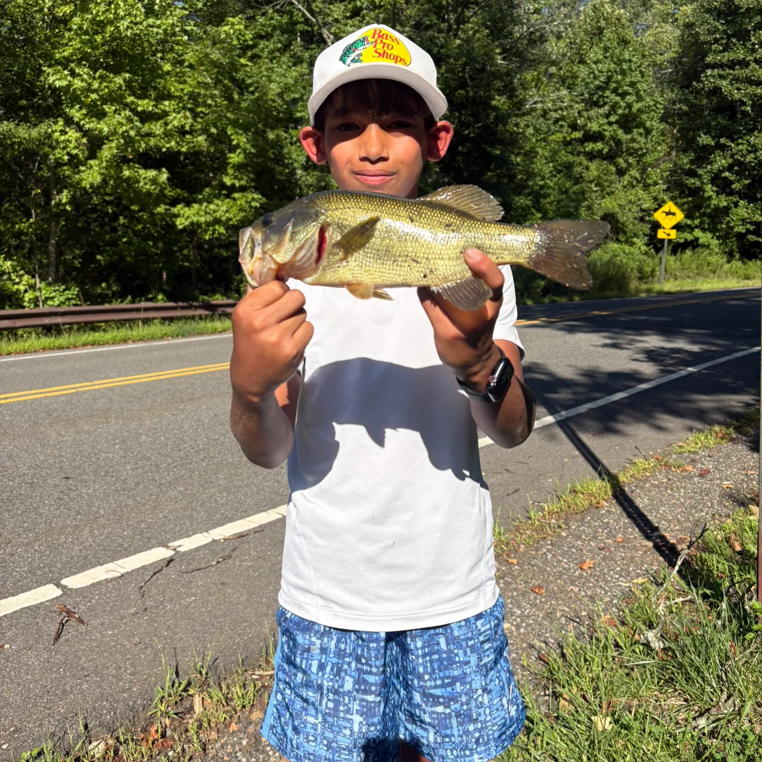 Largemouth bass caught on Fishbrain