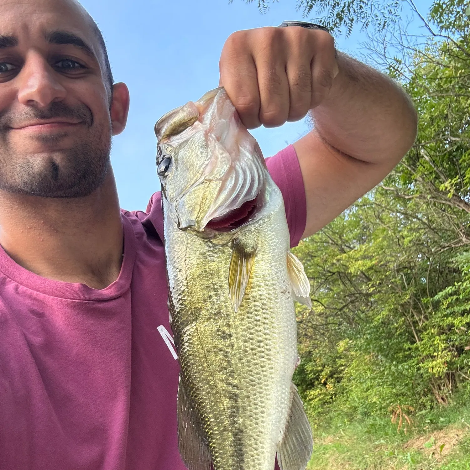Largemouth bass caught on Fishbrain