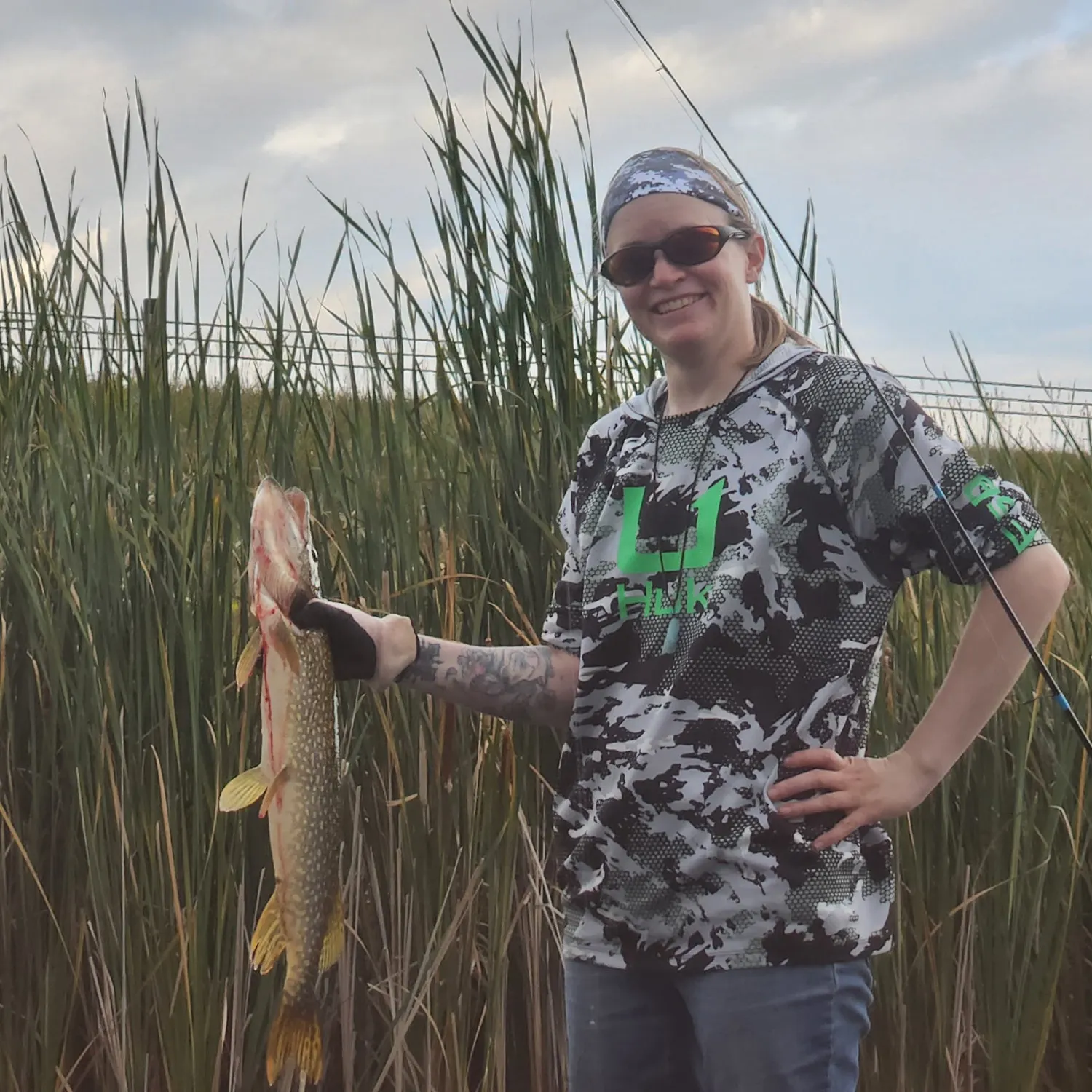 Northern pike caught on Fishbrain