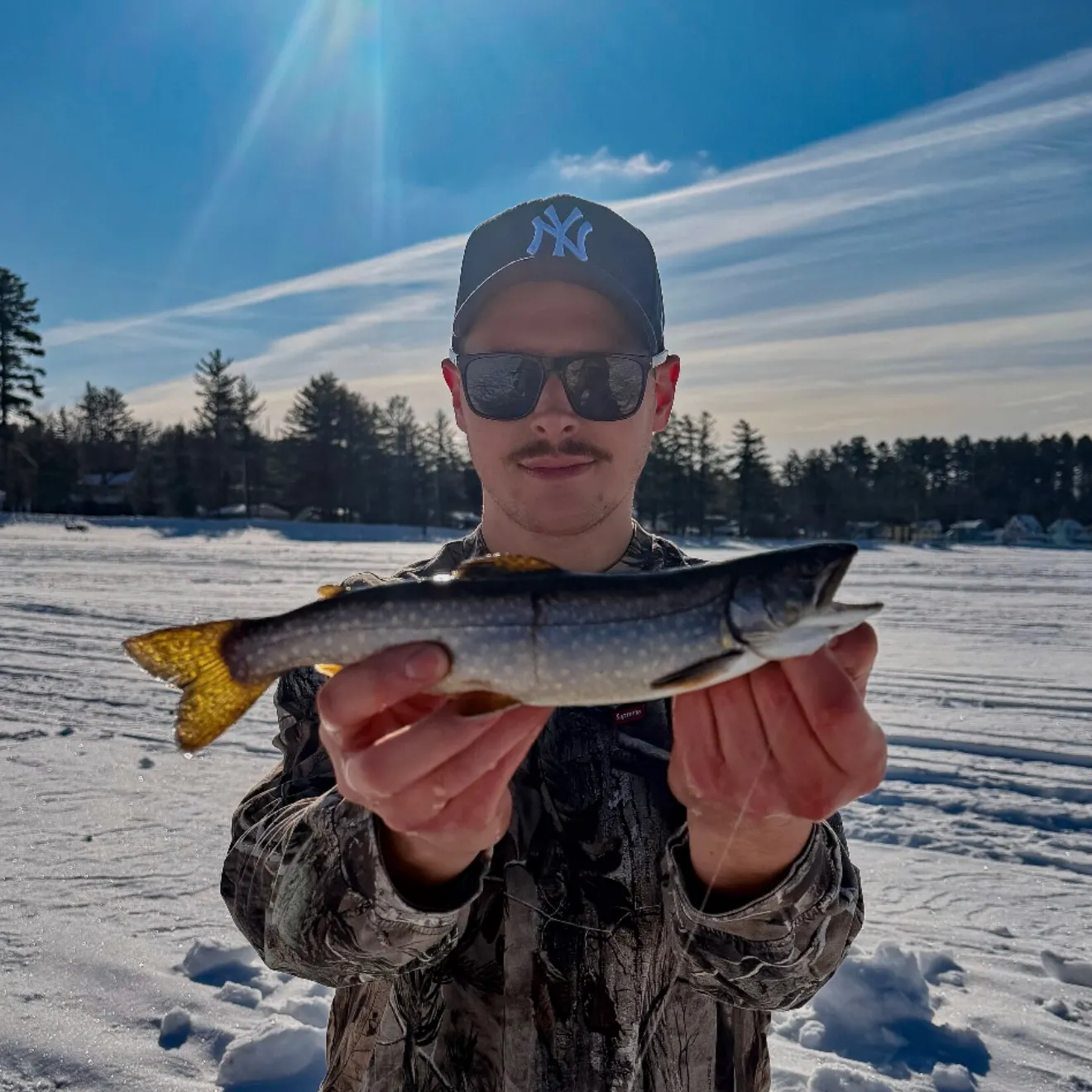 The most recent Splake catches on Fishbrain