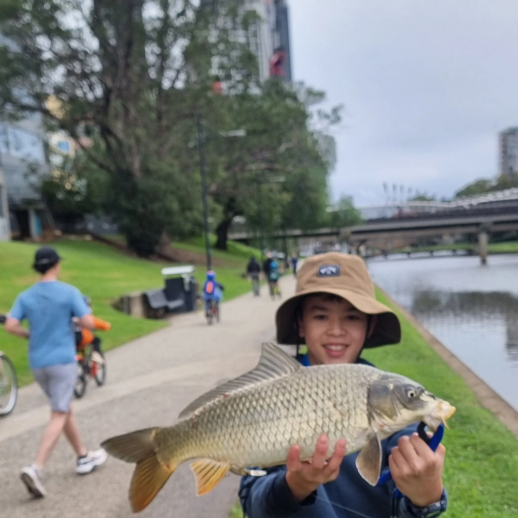 The most recent Common carp catches on Fishbrain