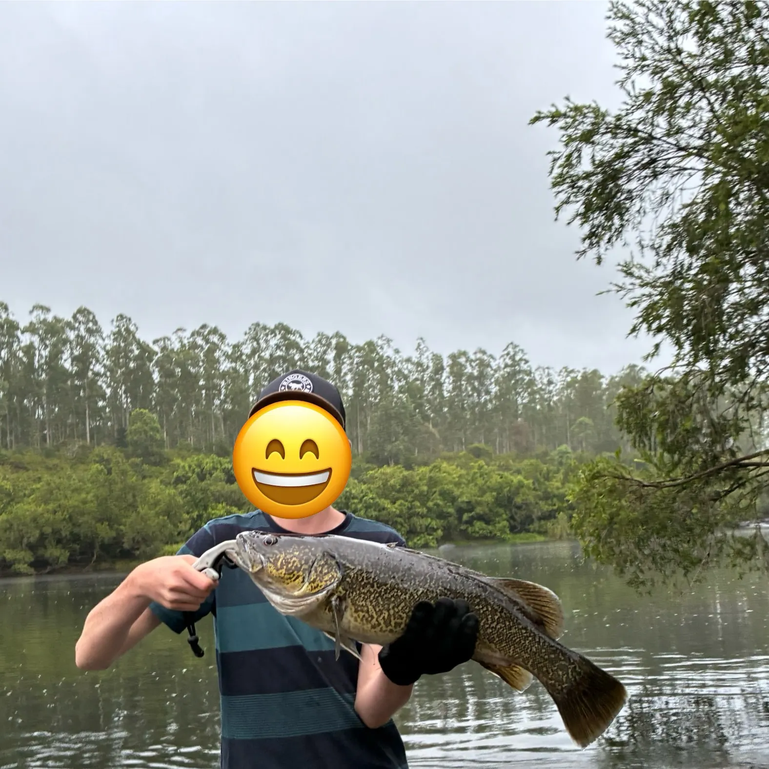 The most recent Clarence River cod catches on Fishbrain