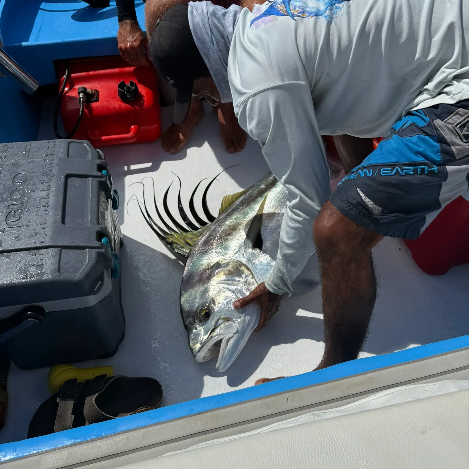 The most recent Roosterfish catches on Fishbrain