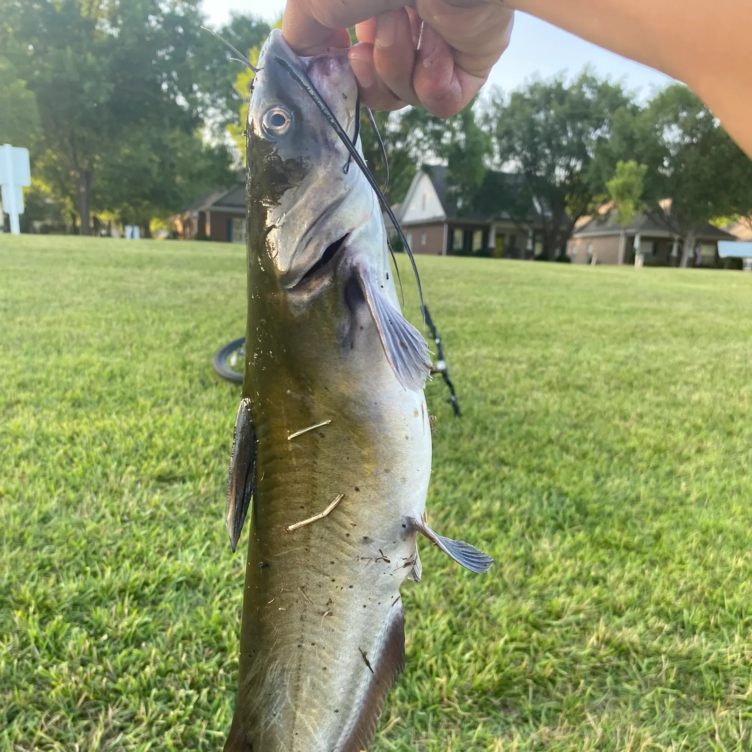 catch