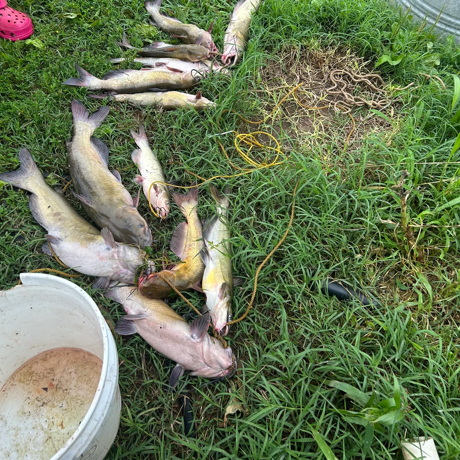 catch