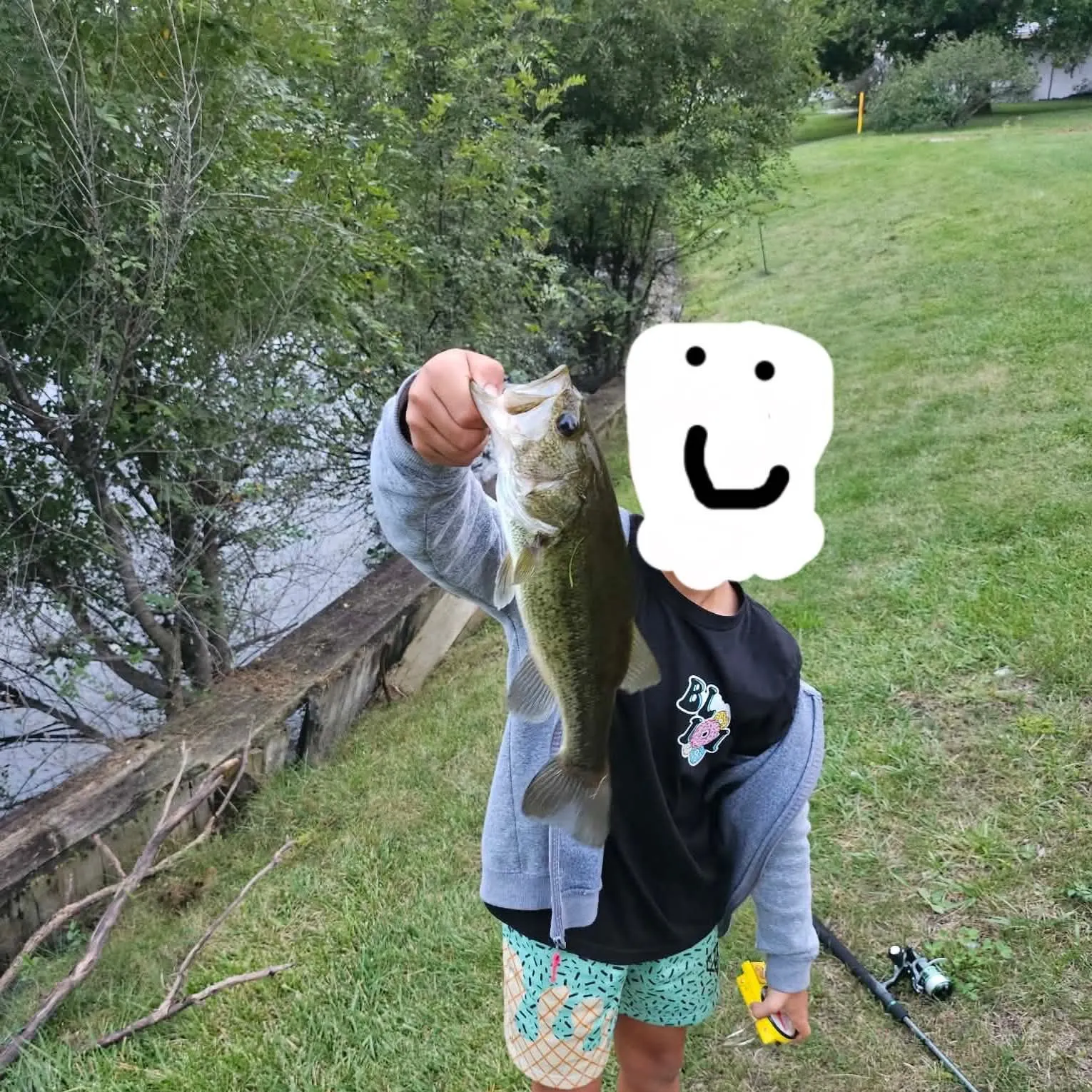 Largemouth bass caught on Fishbrain