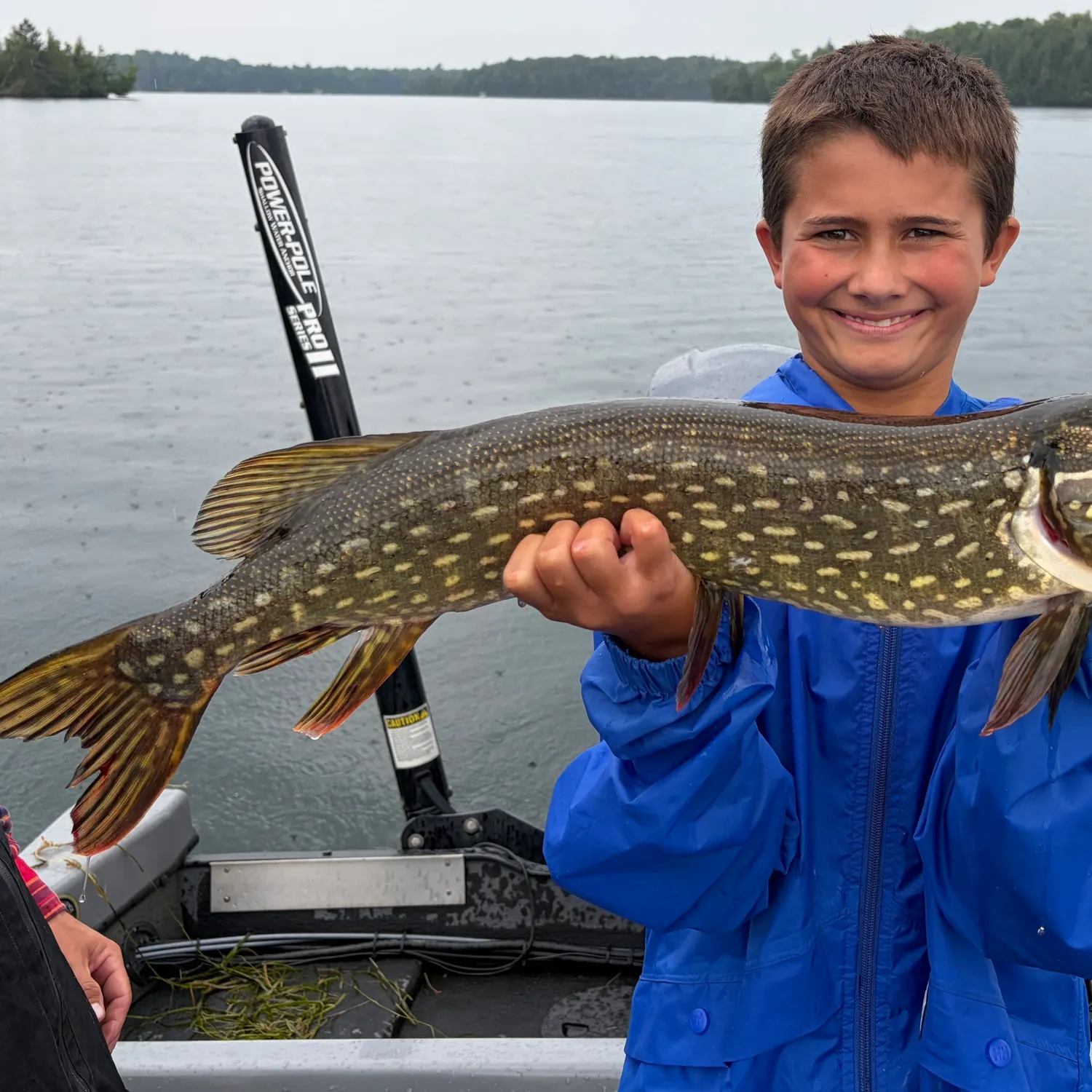 Northern pike caught on Fishbrain
