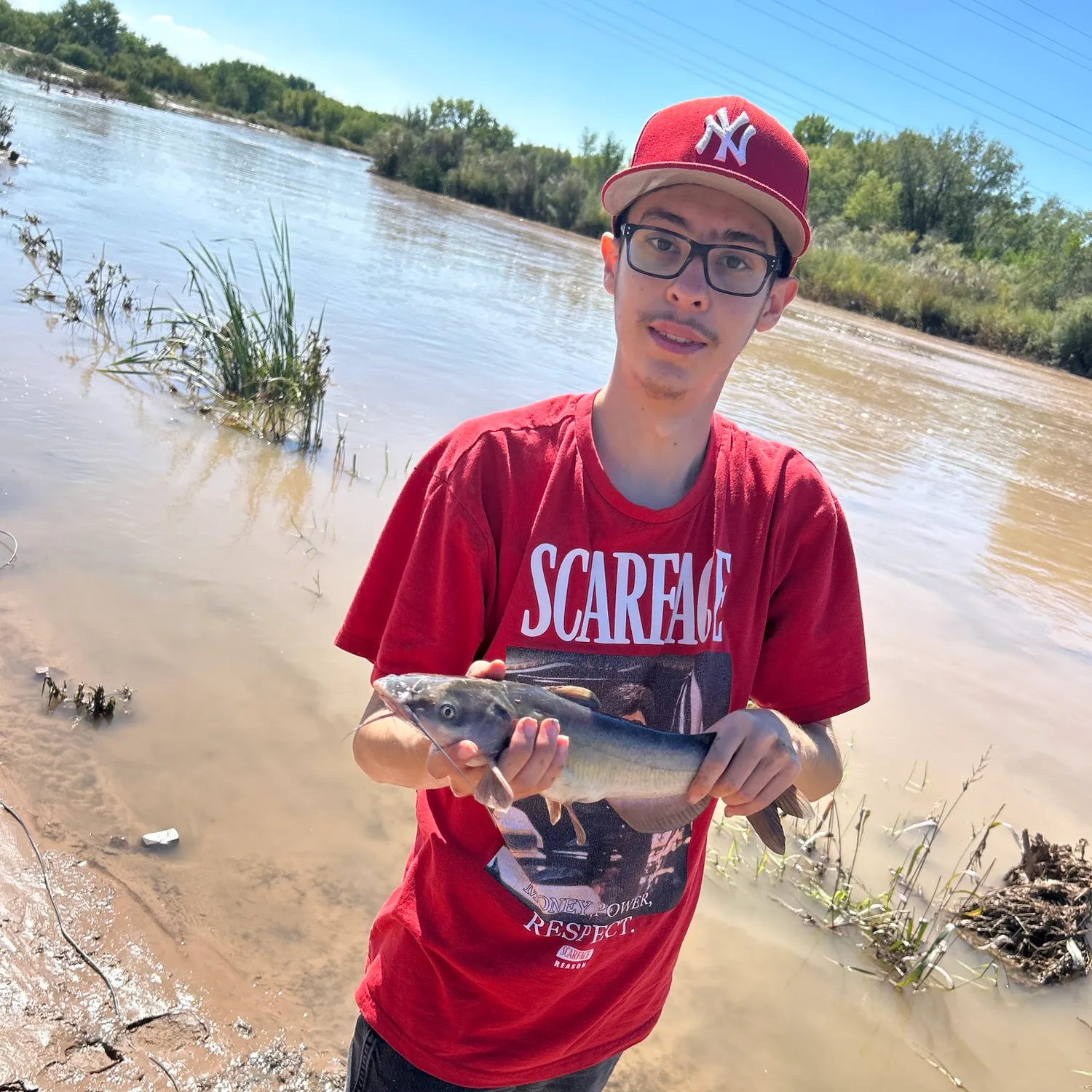 Channel catfish caught on Fishbrain