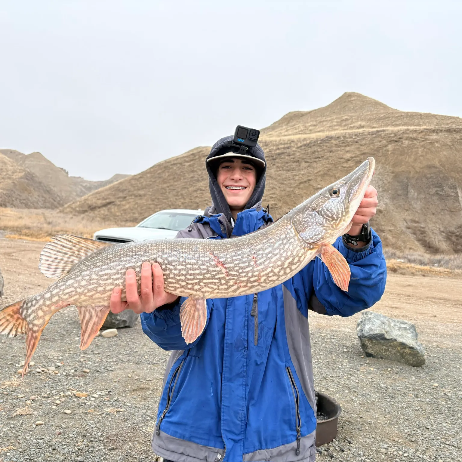 The most recent Northern pike catches on Fishbrain