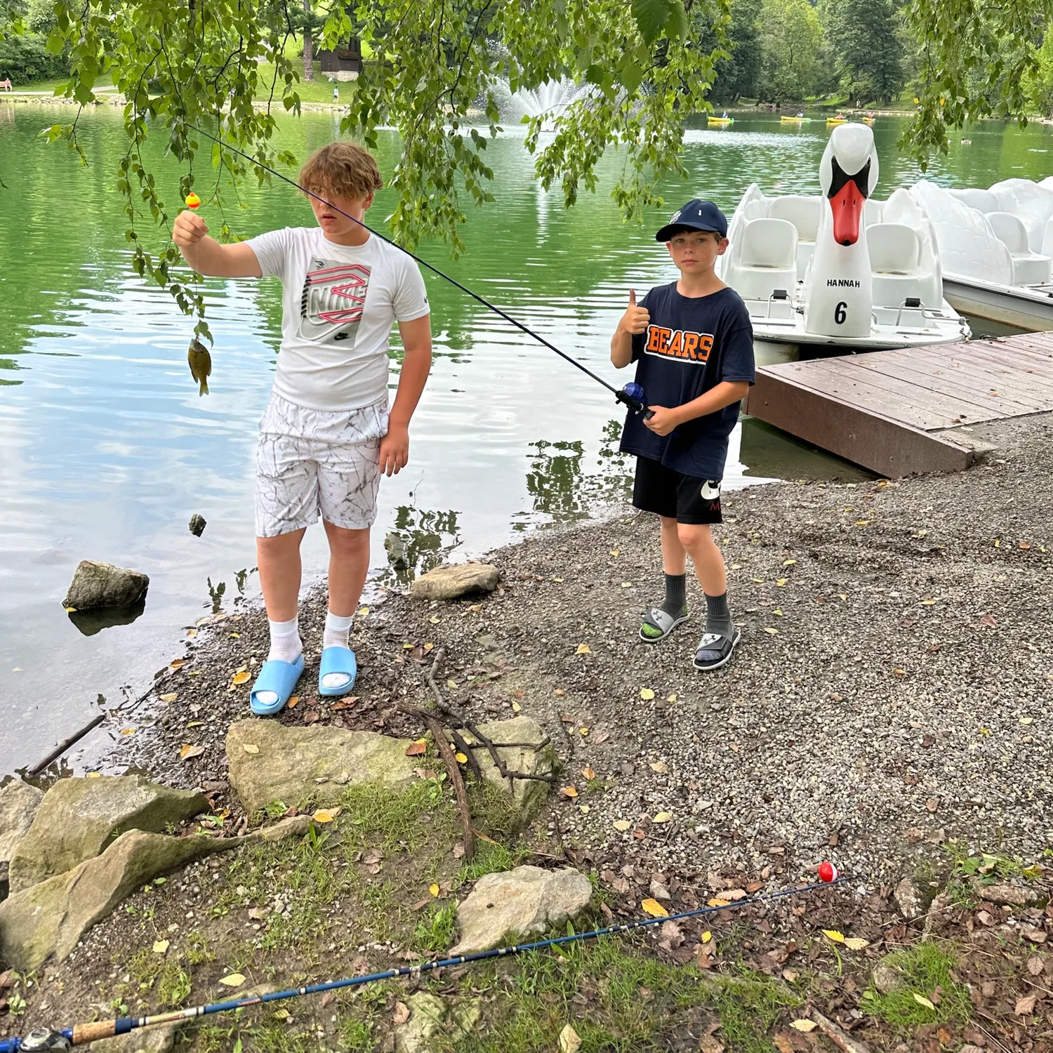 recently logged catches