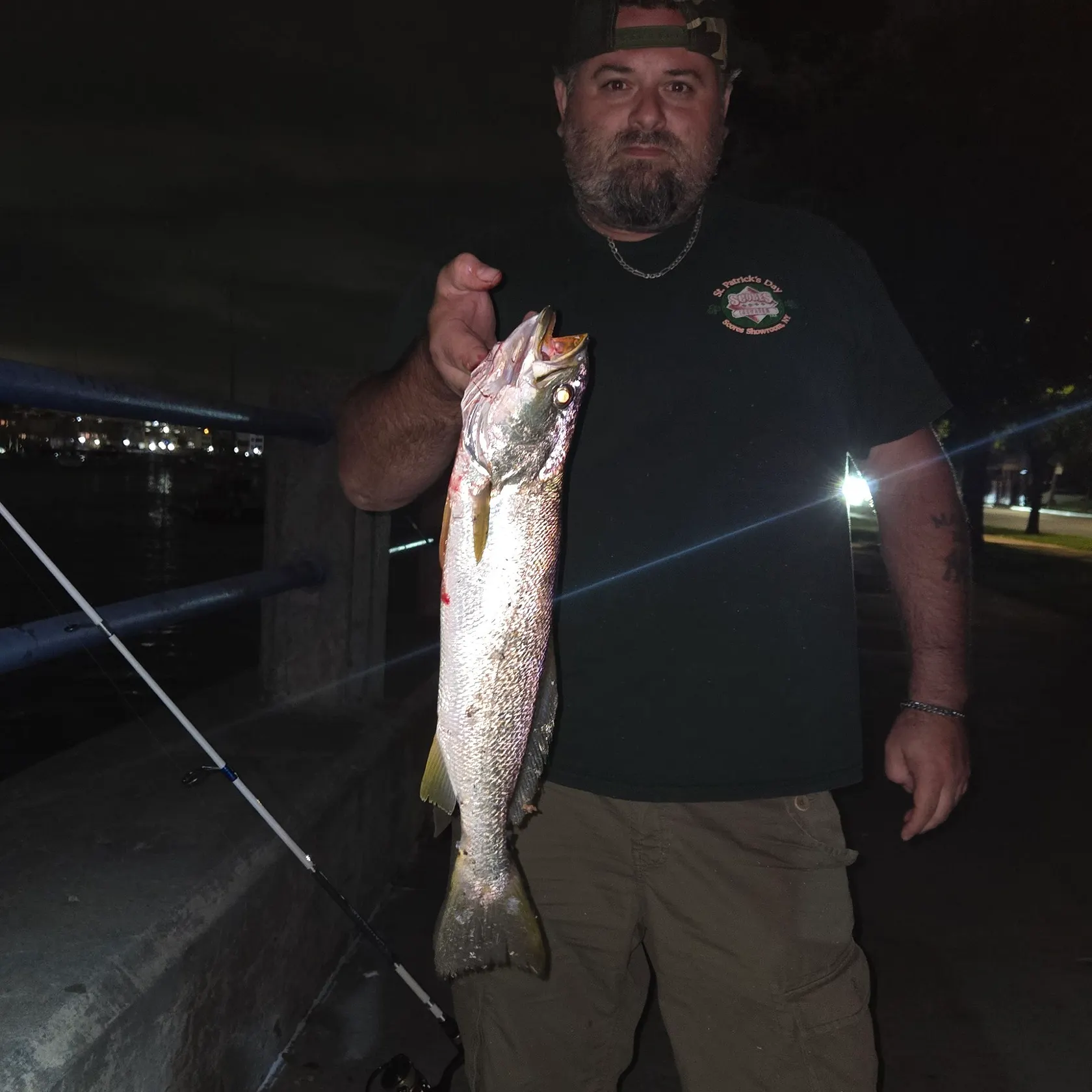 Gray weakfish caught on Fishbrain
