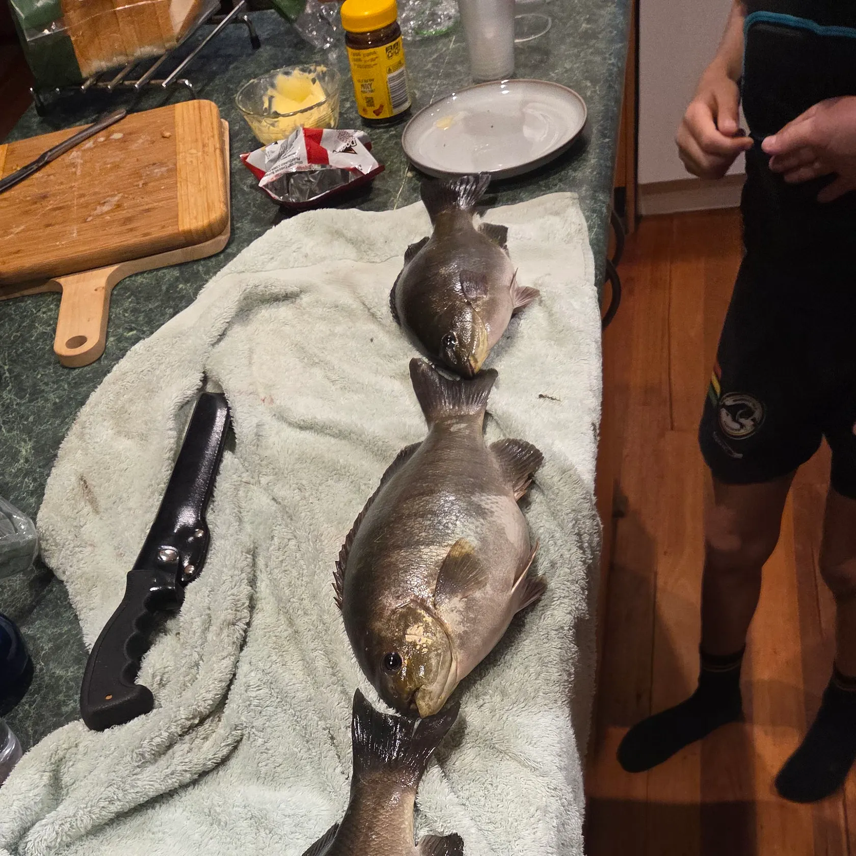 recently logged catches