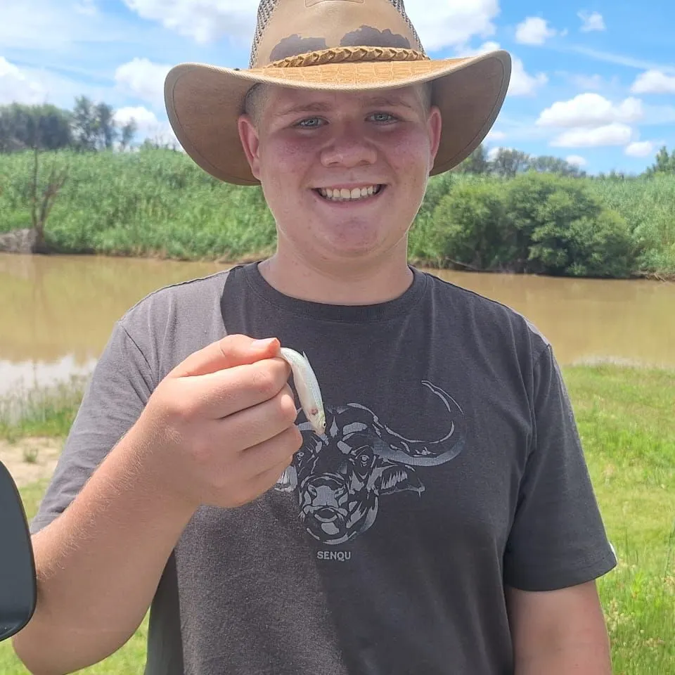 The most recent Moggel catches on Fishbrain