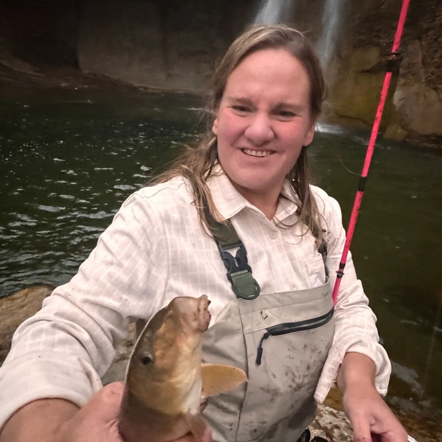 White sucker caught on Fishbrain
