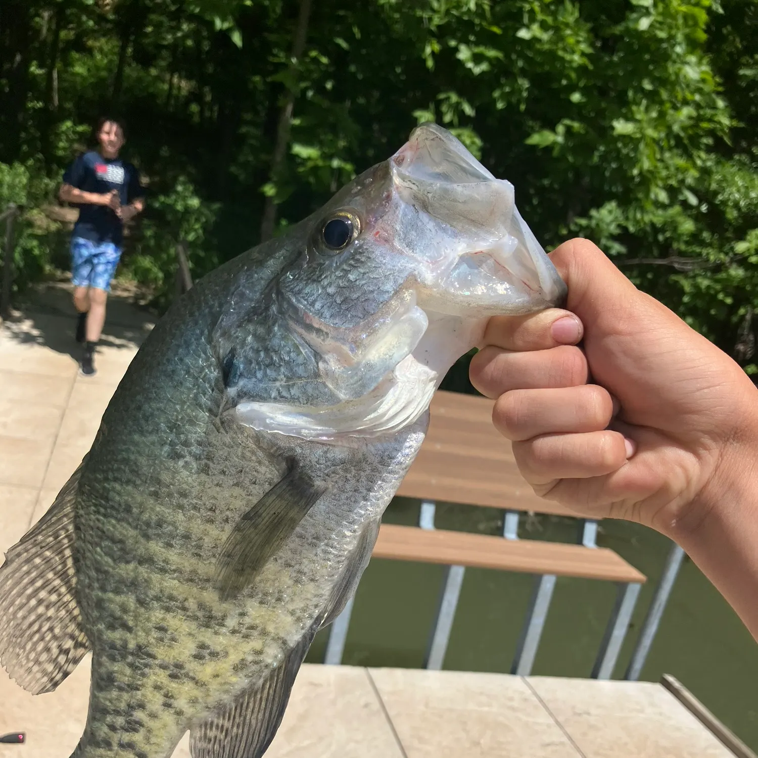 angler catch