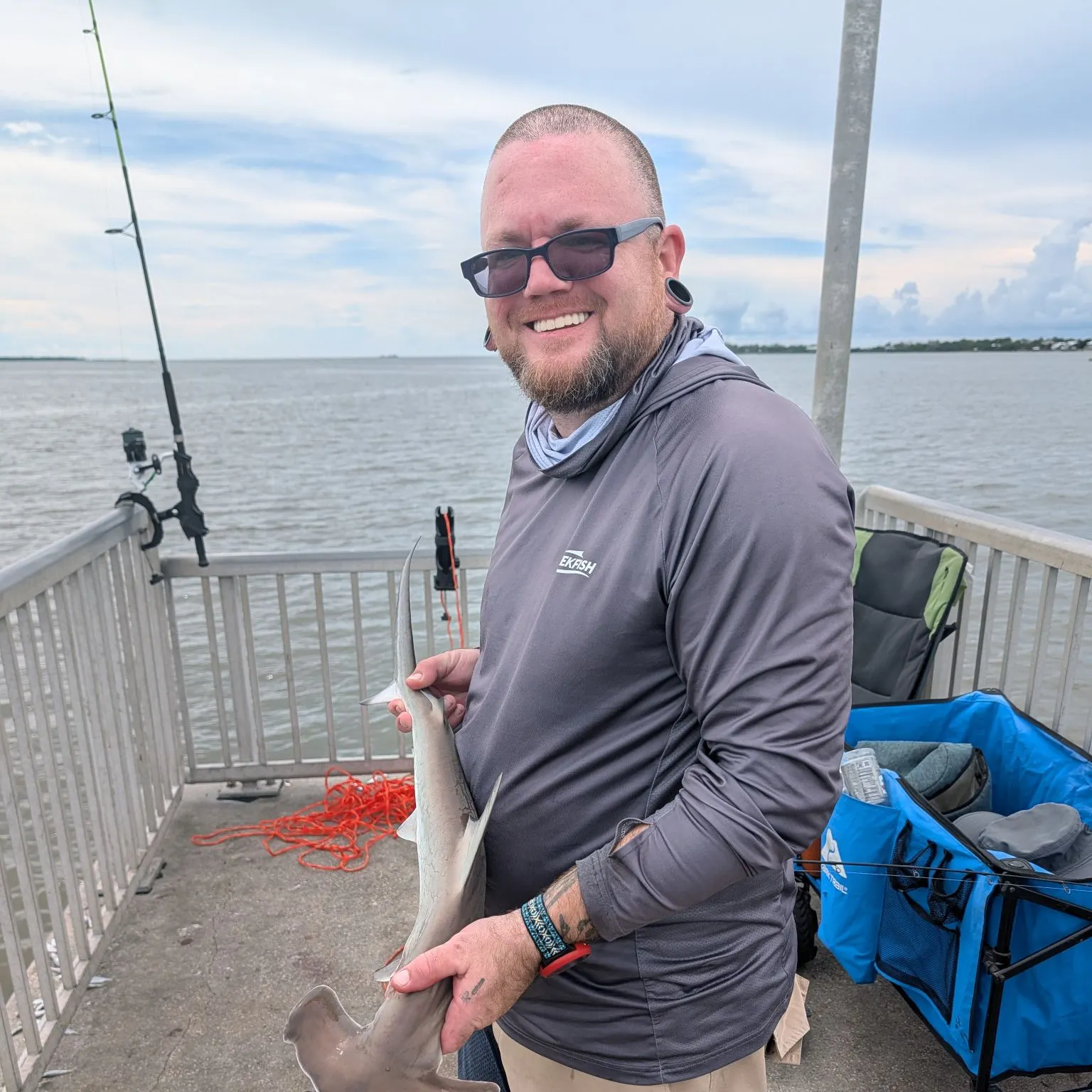 The most recent Scalloped hammerhead shark catches on Fishbrain