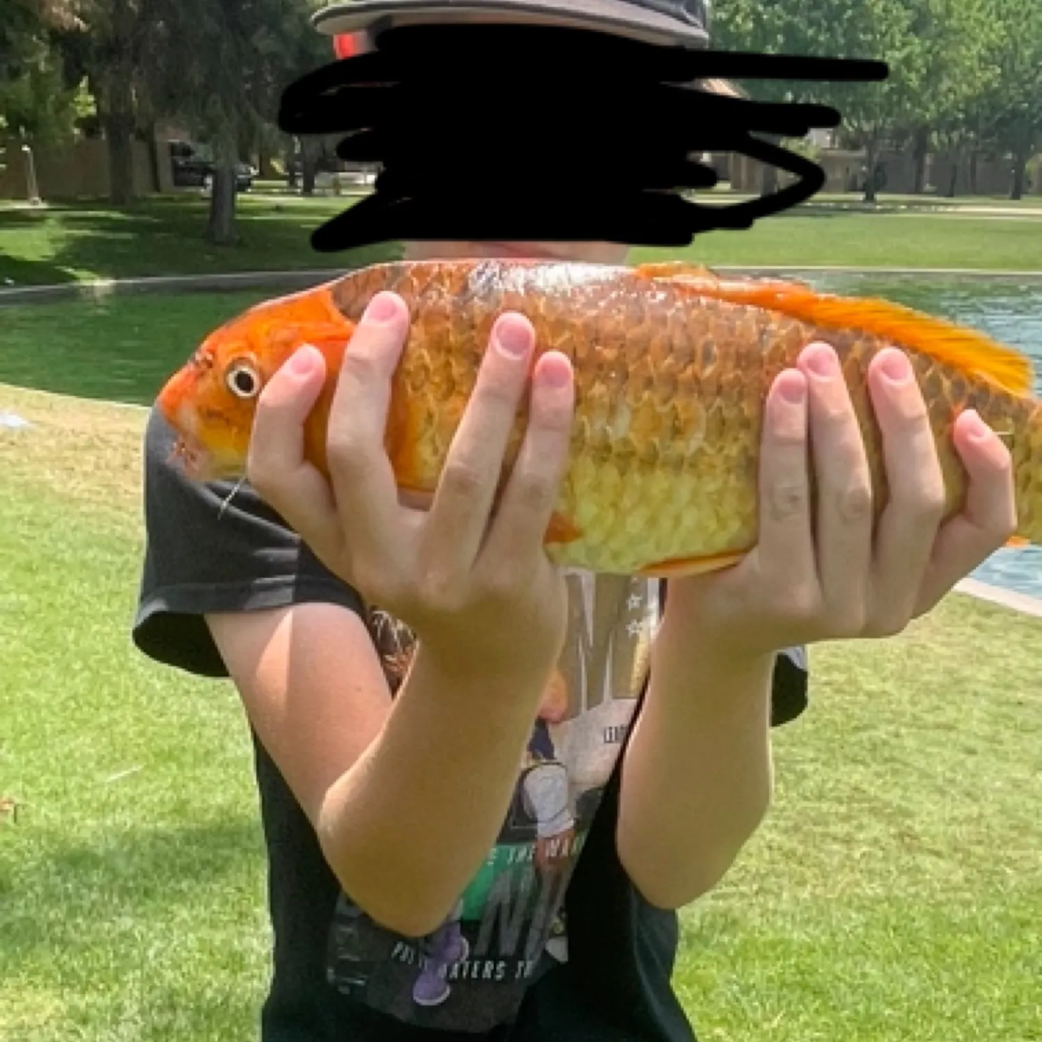 most liked catch image