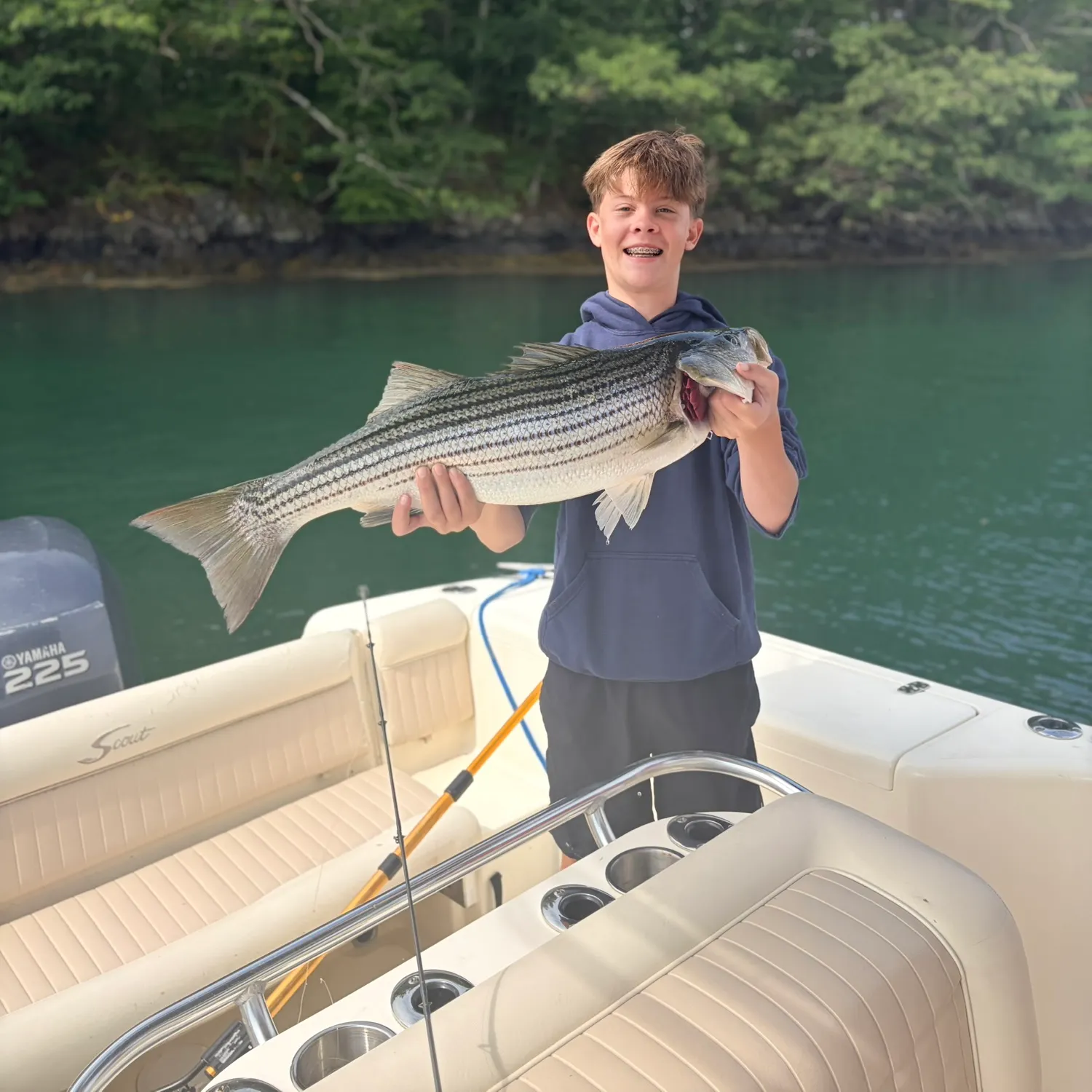 Striped bass caught on Fishbrain