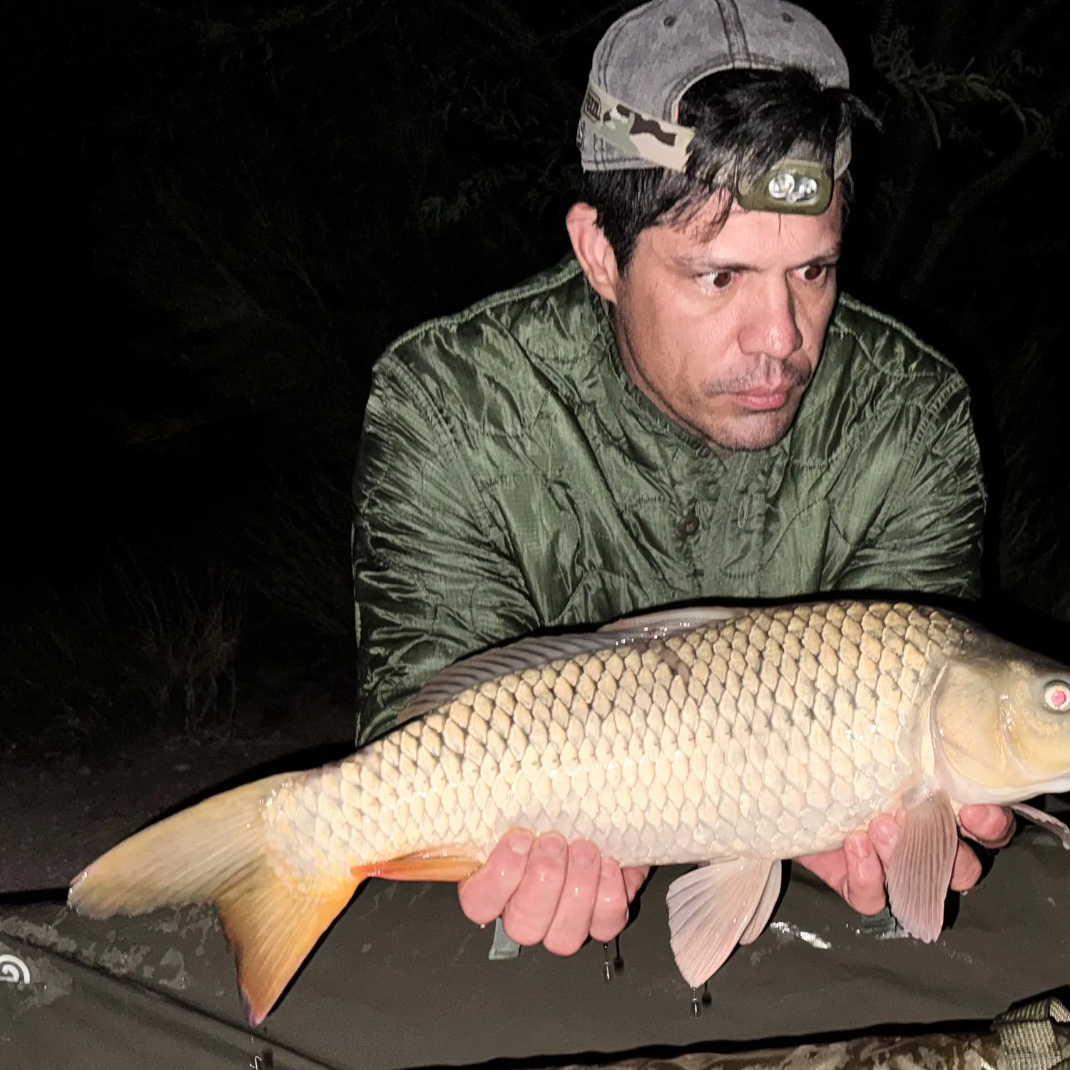 The most recent Ghost carp catches on Fishbrain