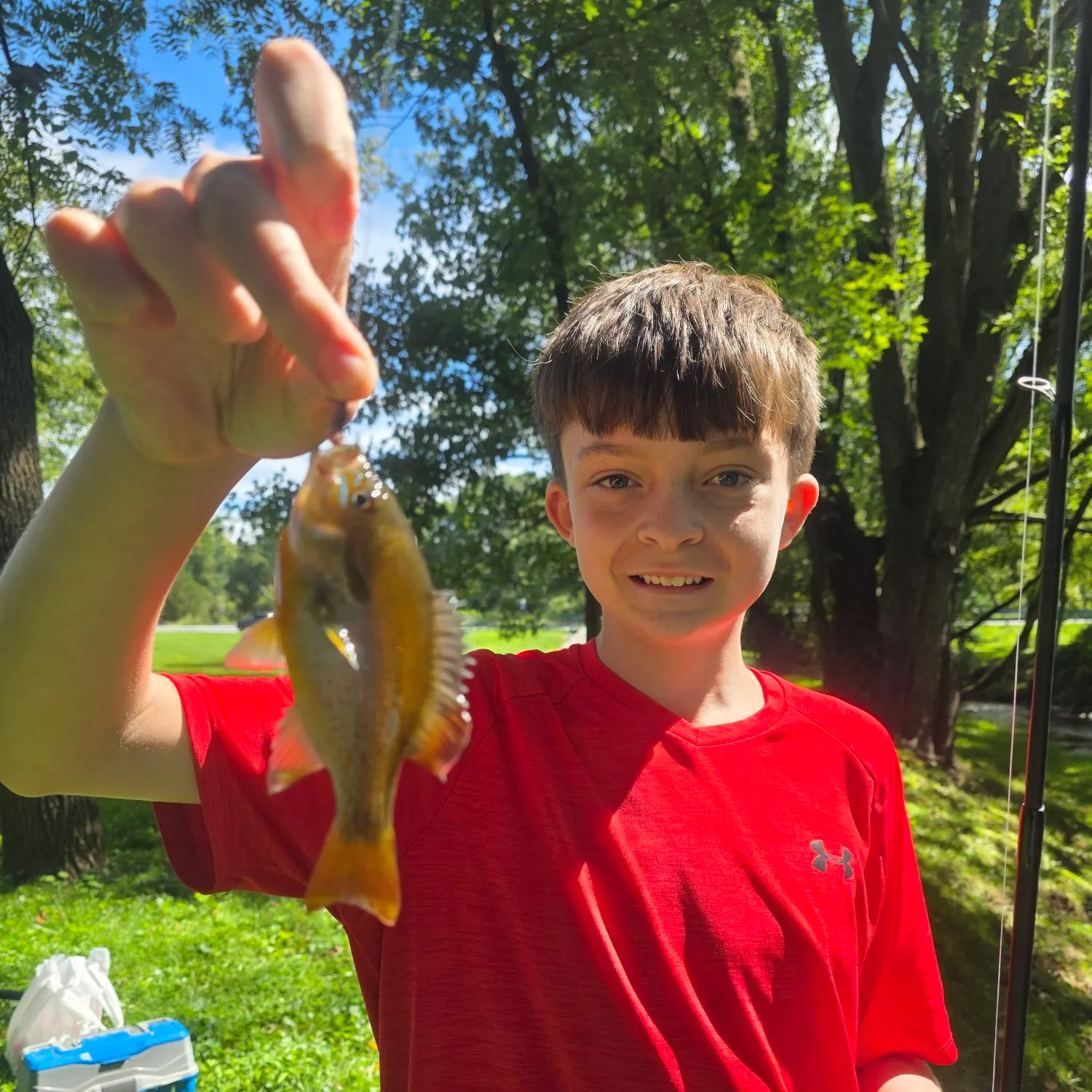 Redbreast sunfish caught on Fishbrain