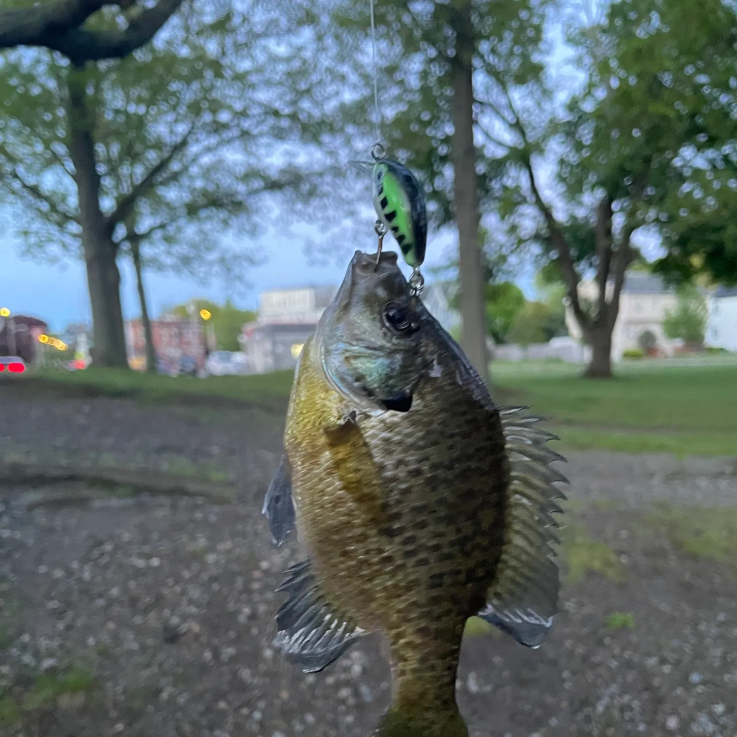 catch