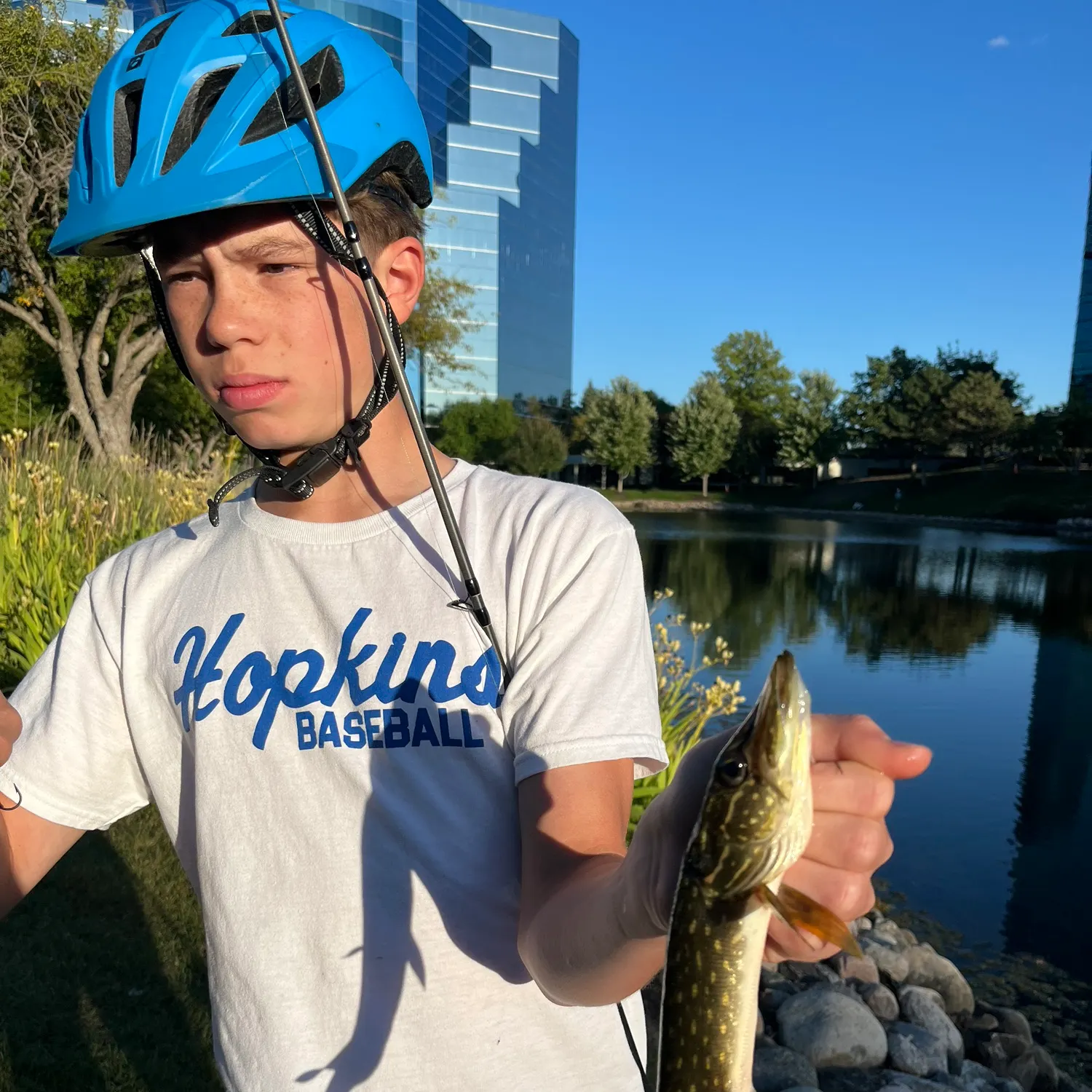 Northern pike caught on Fishbrain