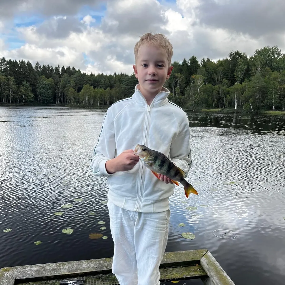 European perch caught on Fishbrain