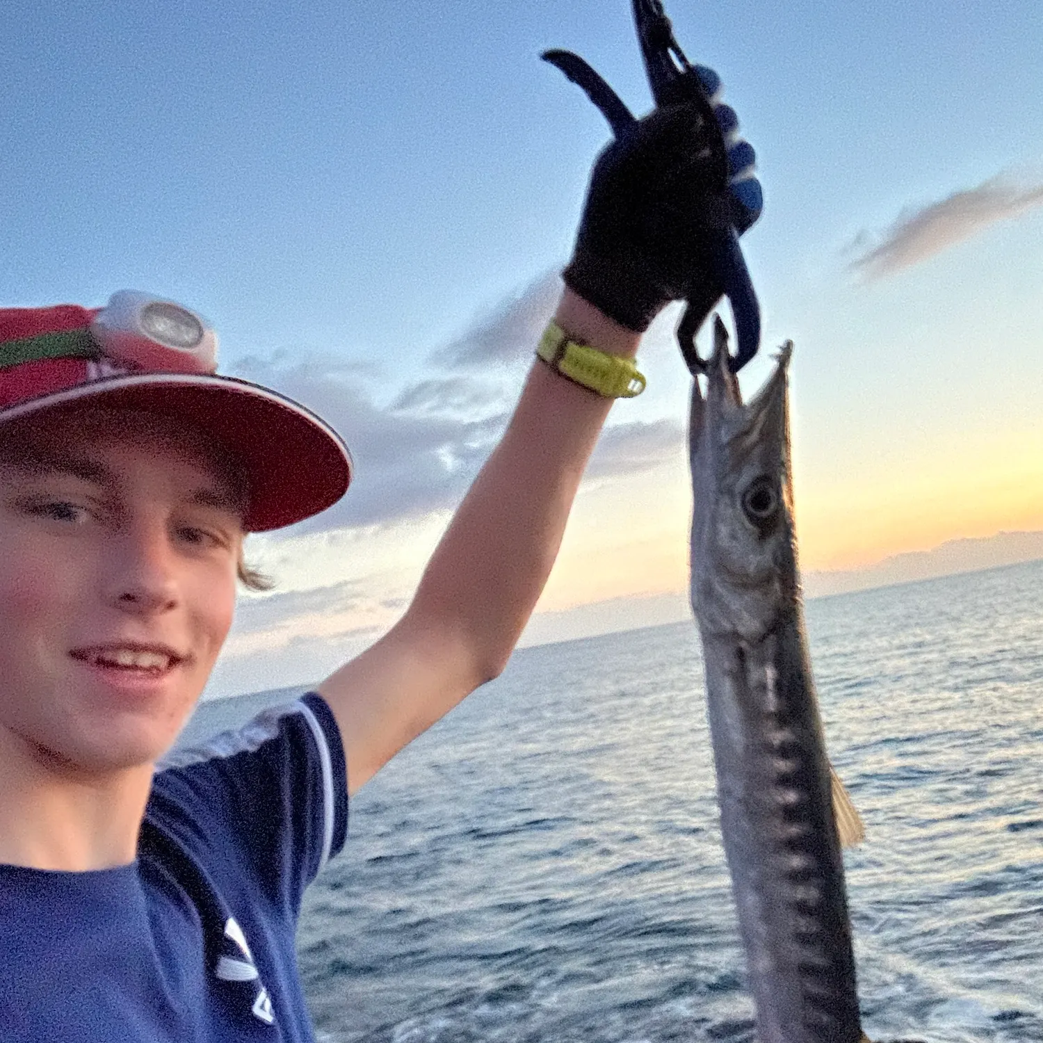 The most recent Great barracuda catches on Fishbrain