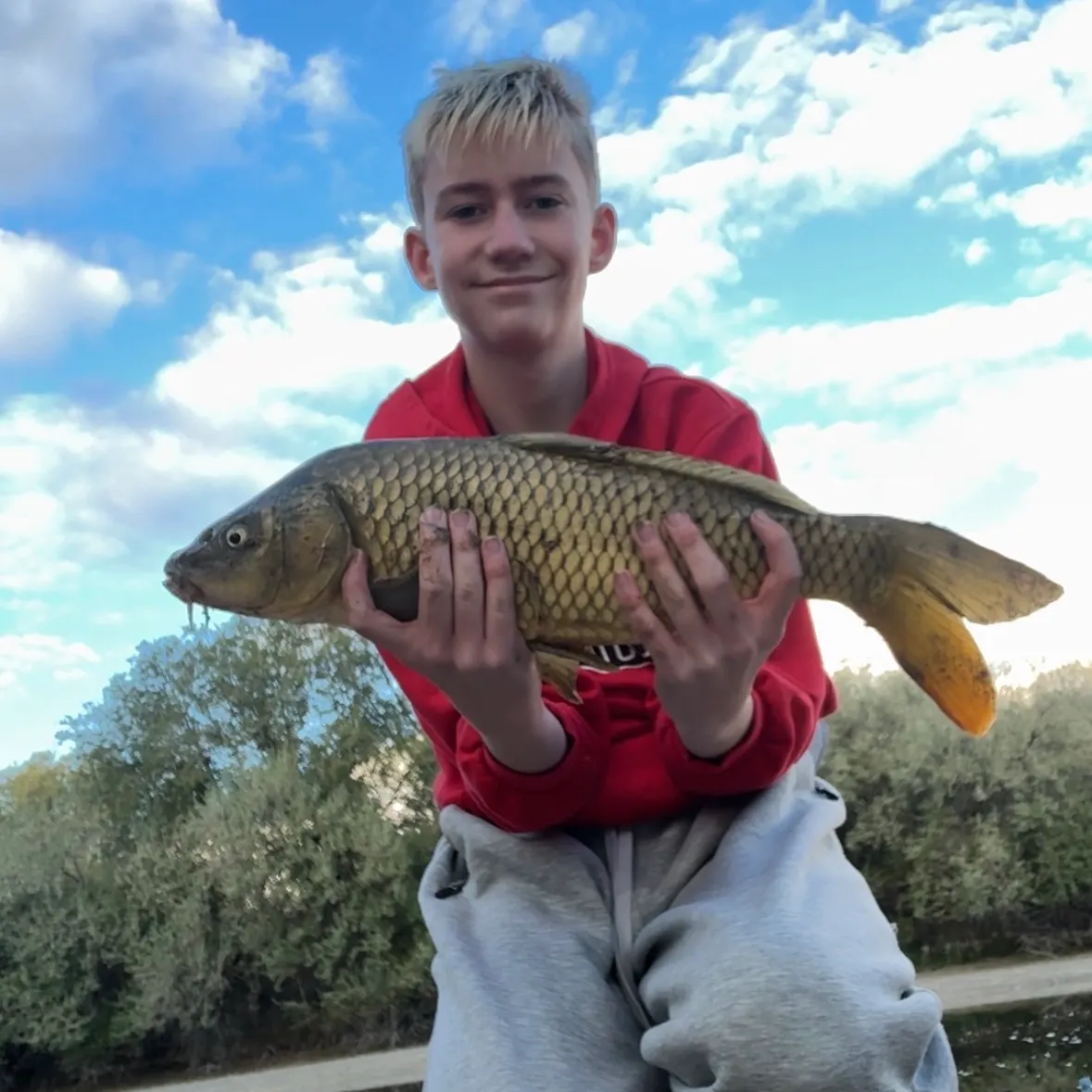 Common carp caught on Fishbrain