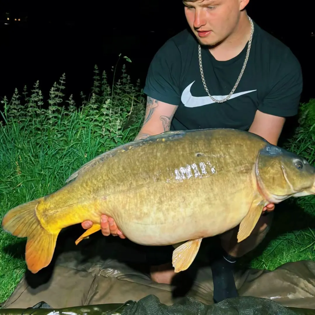 Leather carp caught on Fishbrain