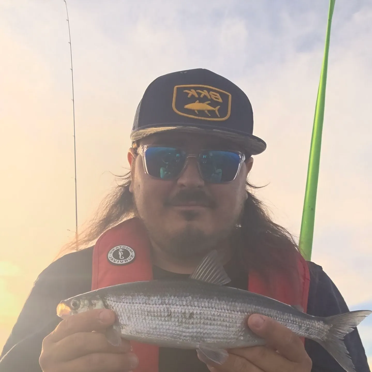 The most recent Northern cisco catches on Fishbrain