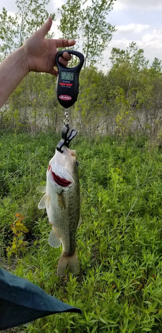 Post image from RiverRecon