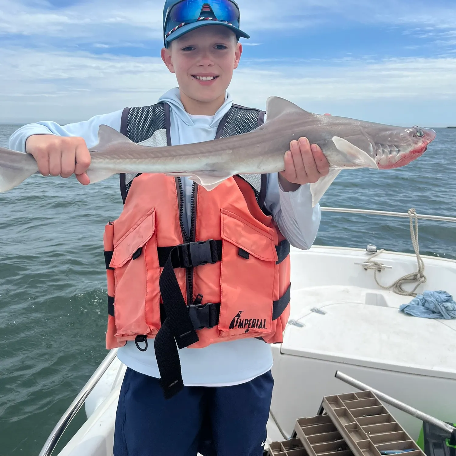 Dusky smooth-hound caught on Fishbrain
