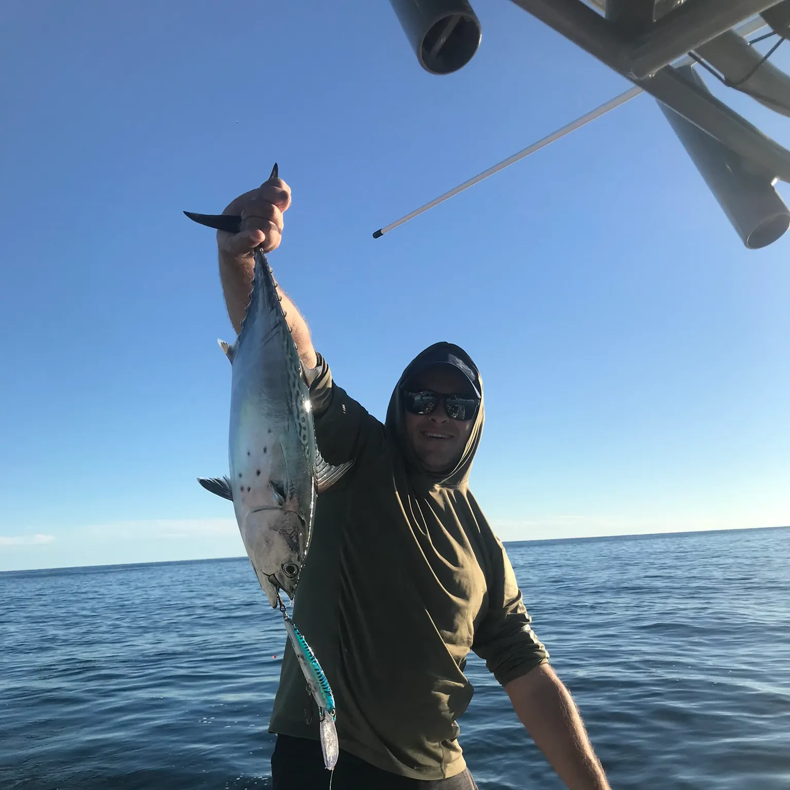 The most recent Little tunny catches on Fishbrain