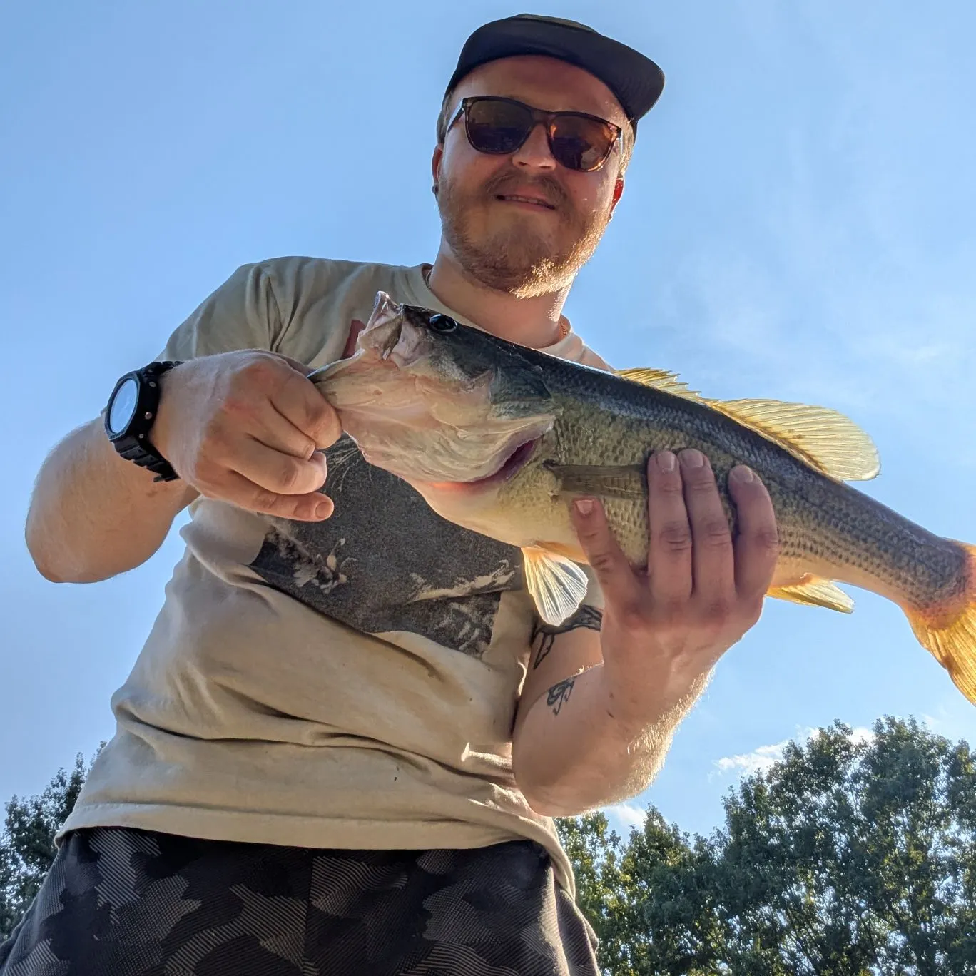 Largemouth bass caught on Fishbrain