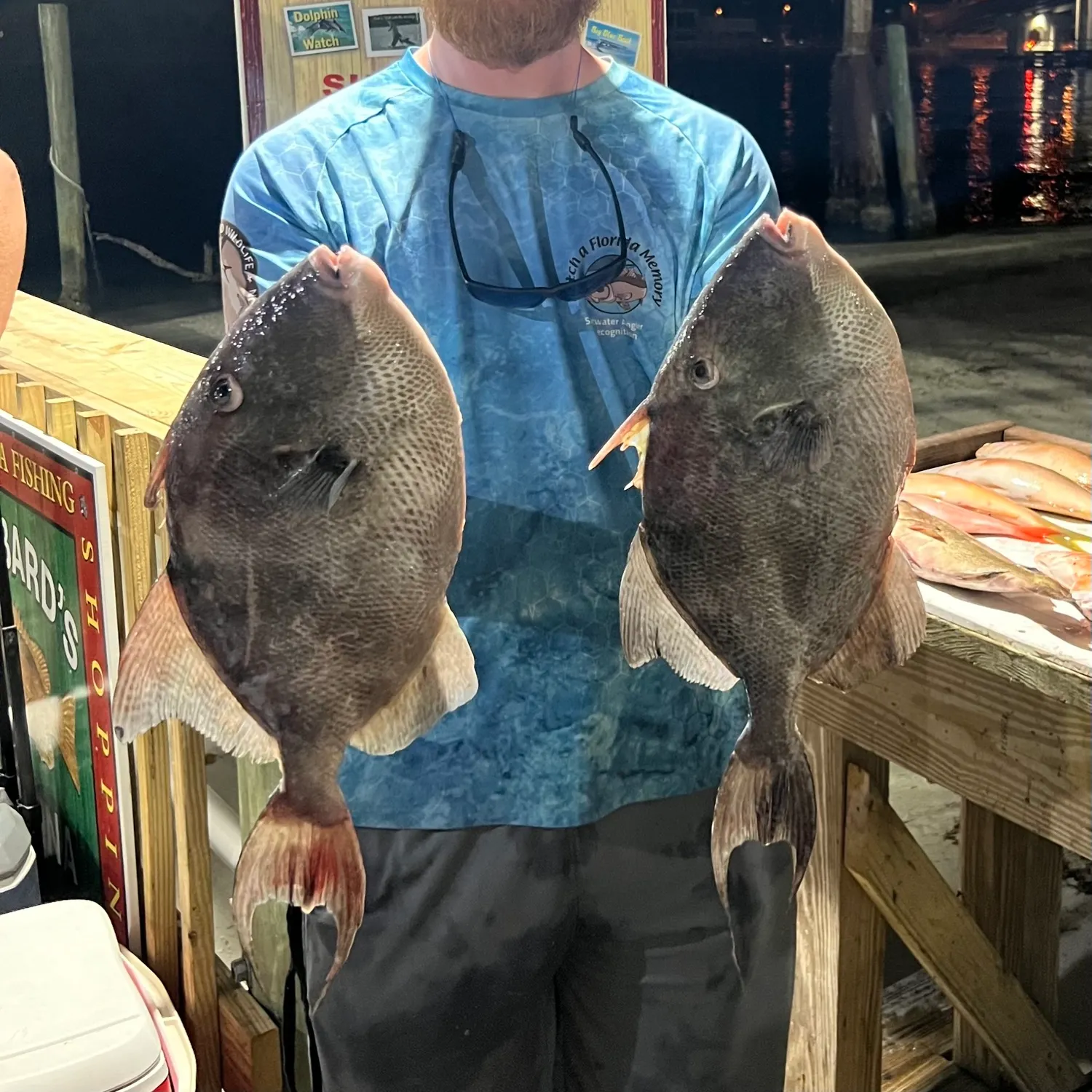 The most popular recent Grey triggerfish catch on Fishbrain