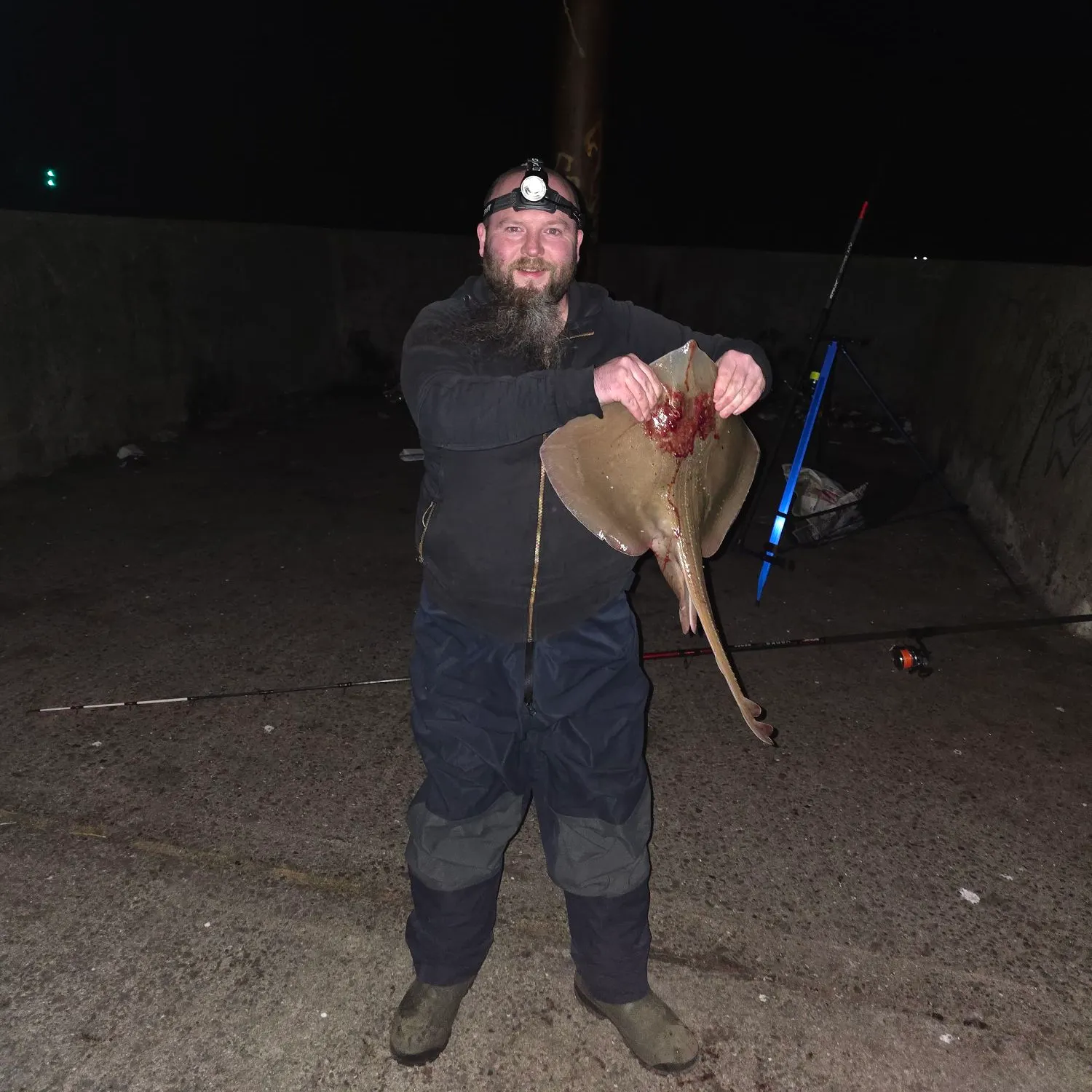The most recent Small-eyed ray catches on Fishbrain