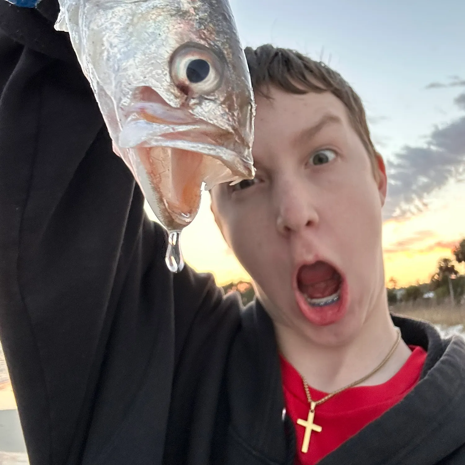 The most recent Silver seatrout catches on Fishbrain