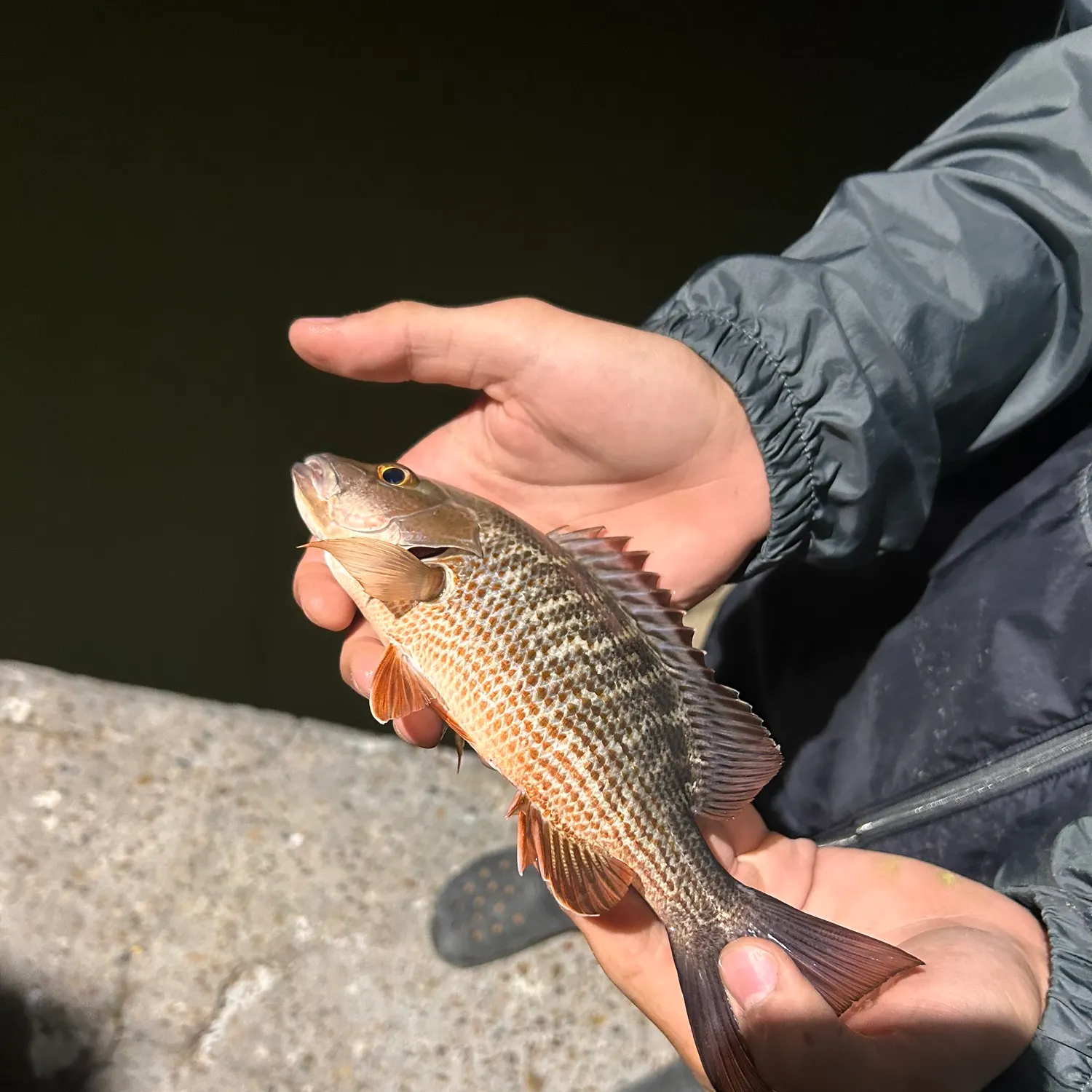 catch