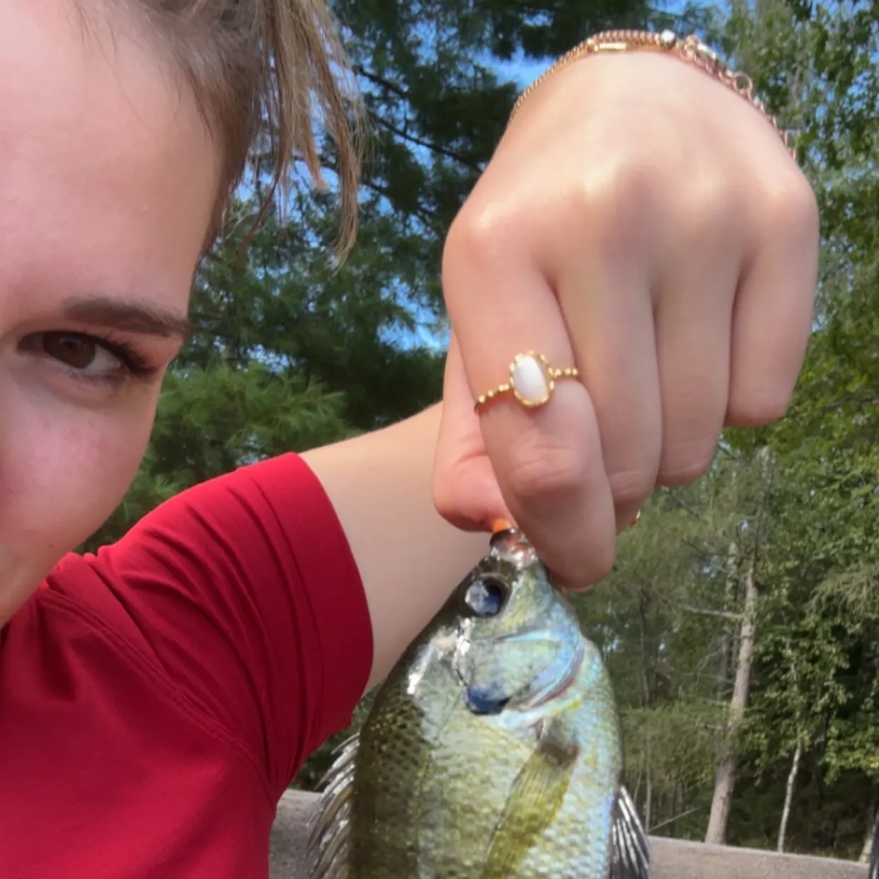 Bluegill caught on Fishbrain