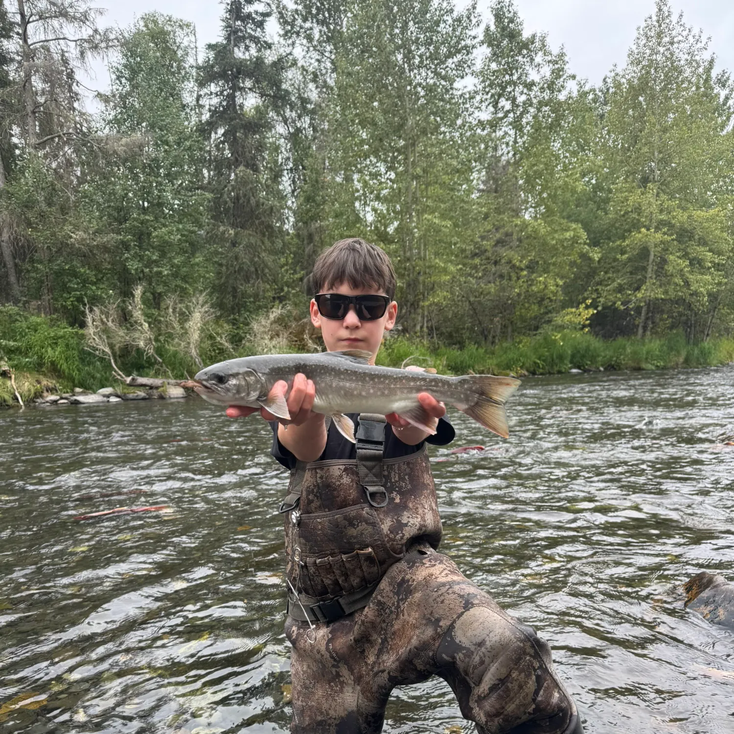 Dolly varden caught on Fishbrain
