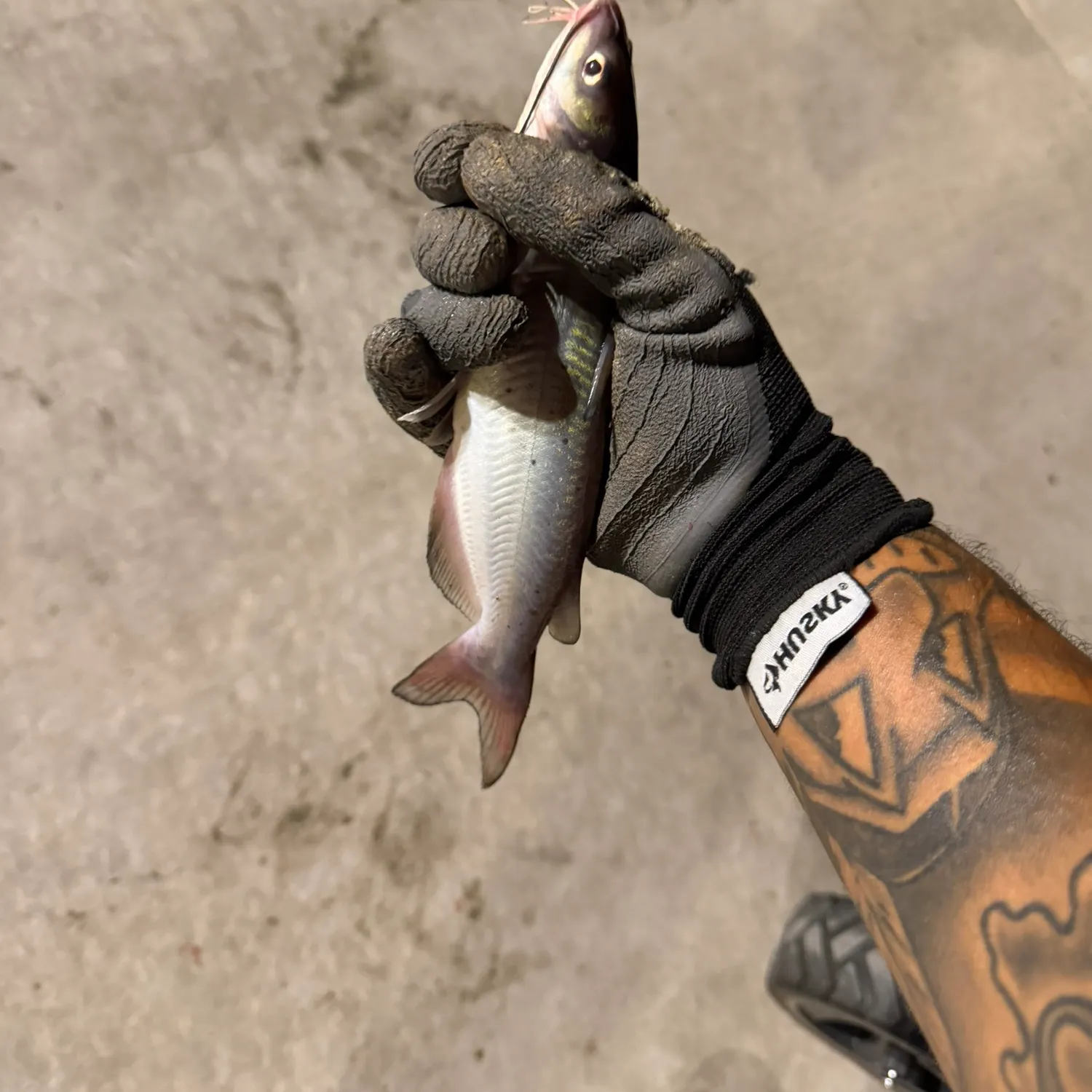 catch