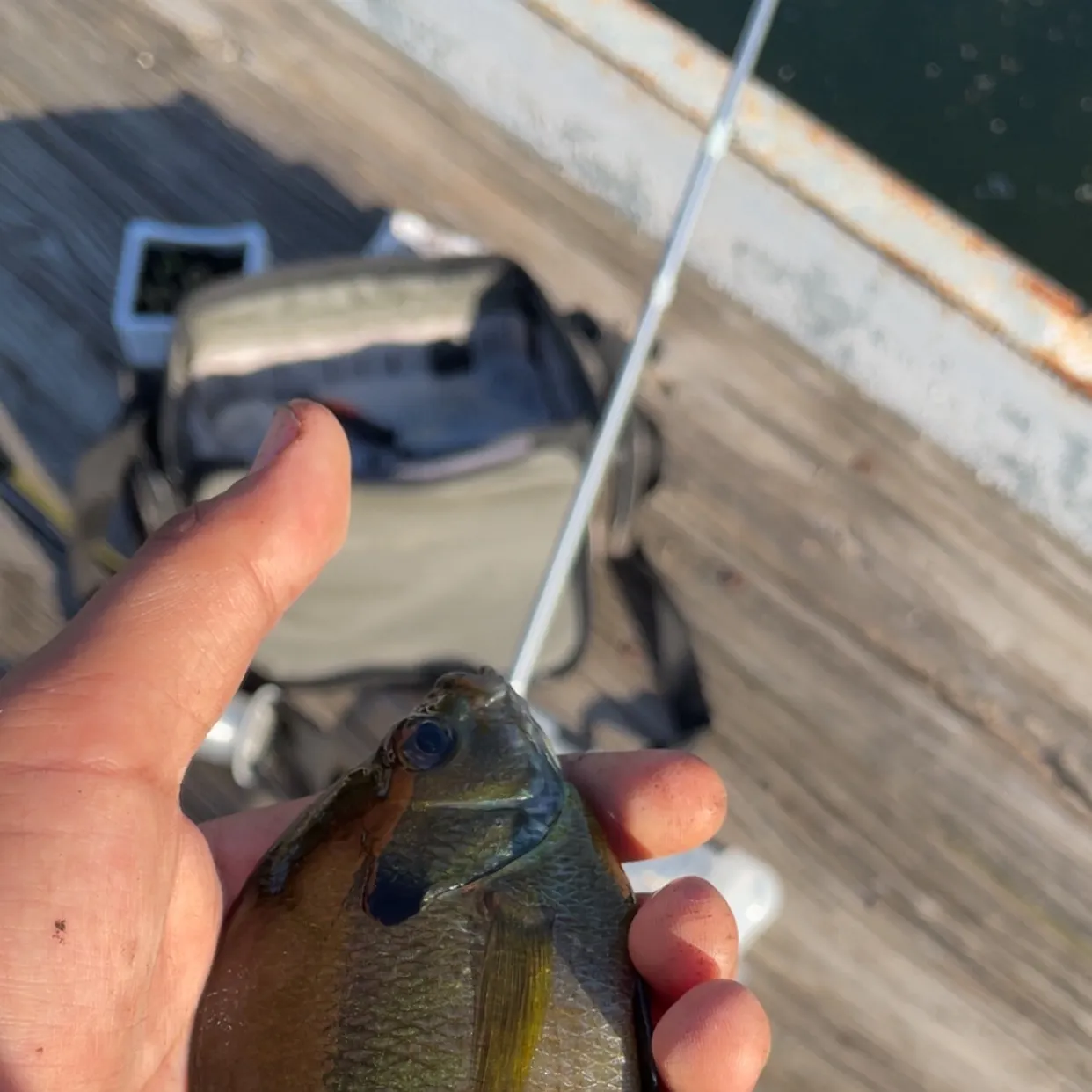 catch