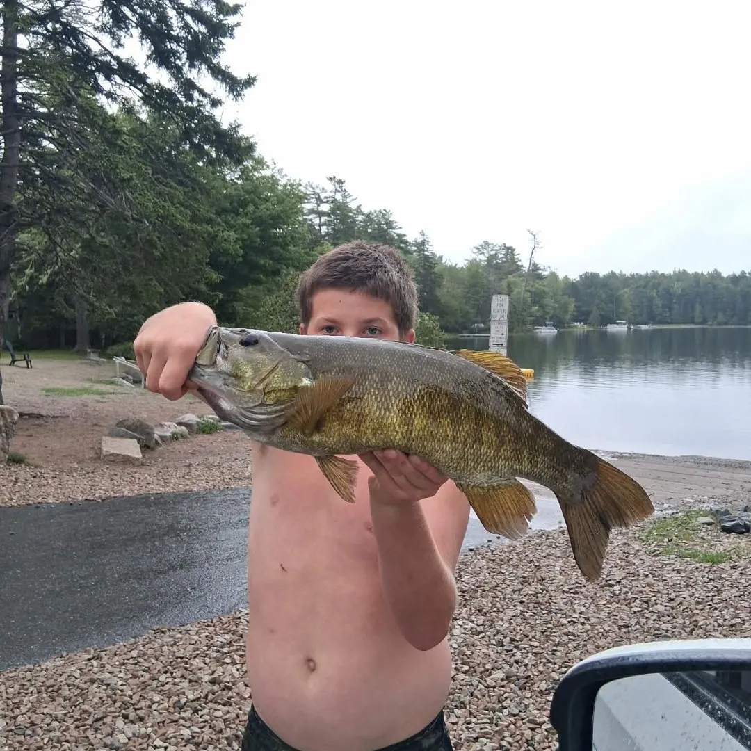 Smallmouth bass caught on Fishbrain
