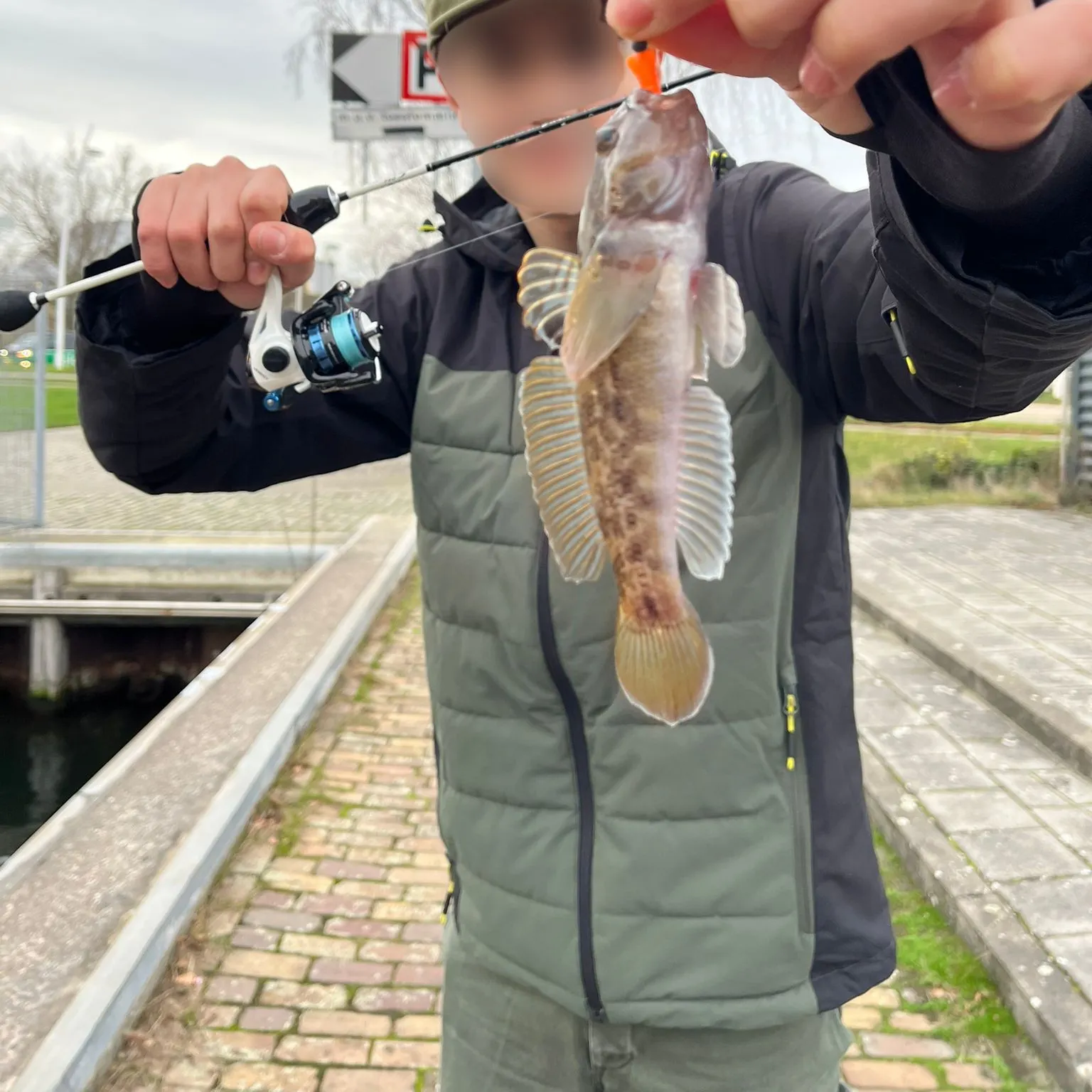 The most recent Round goby catches on Fishbrain